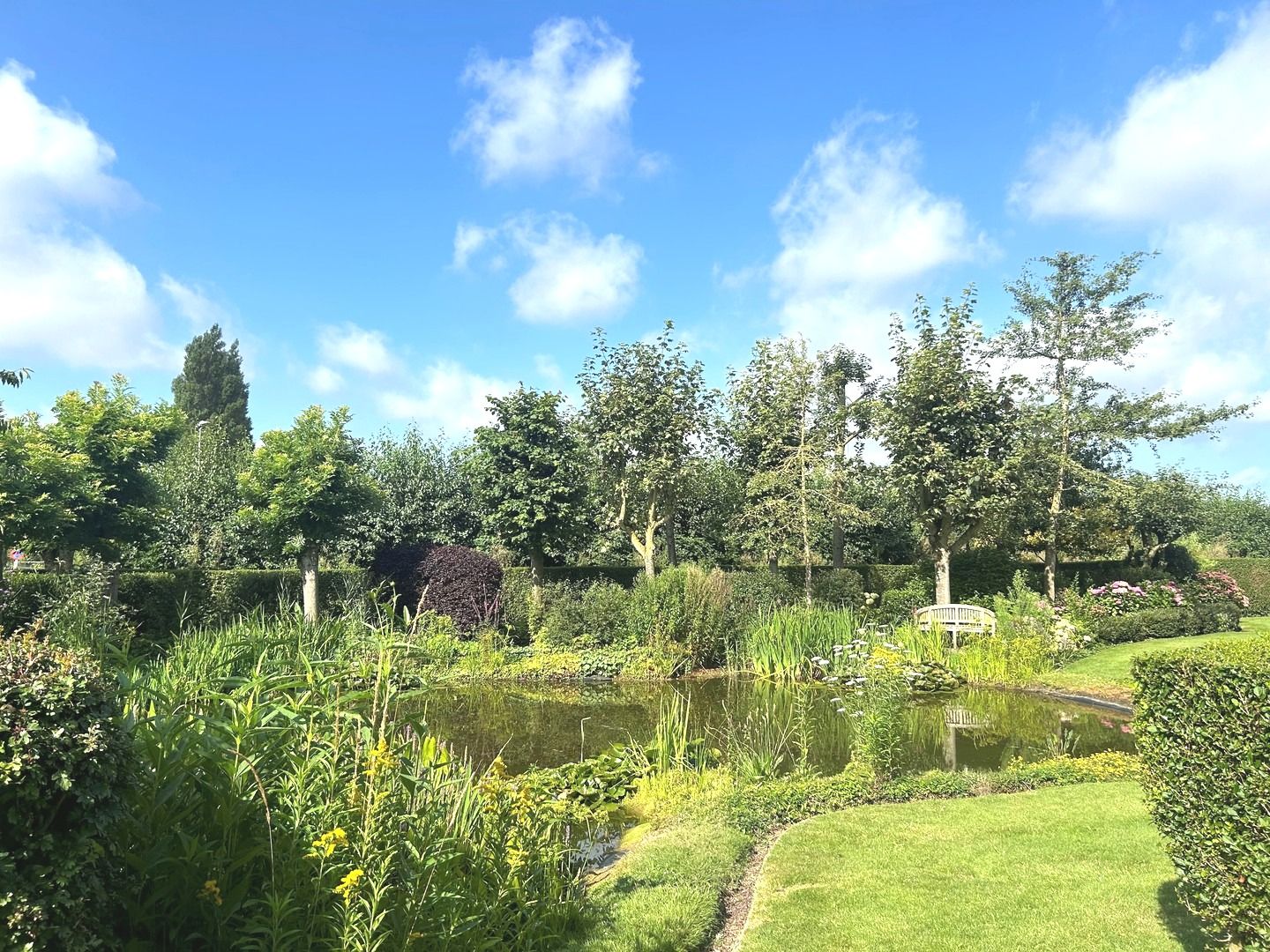 Tof tuin-appartement met 1 slaapkamer en twee terrassen te koop. foto 8