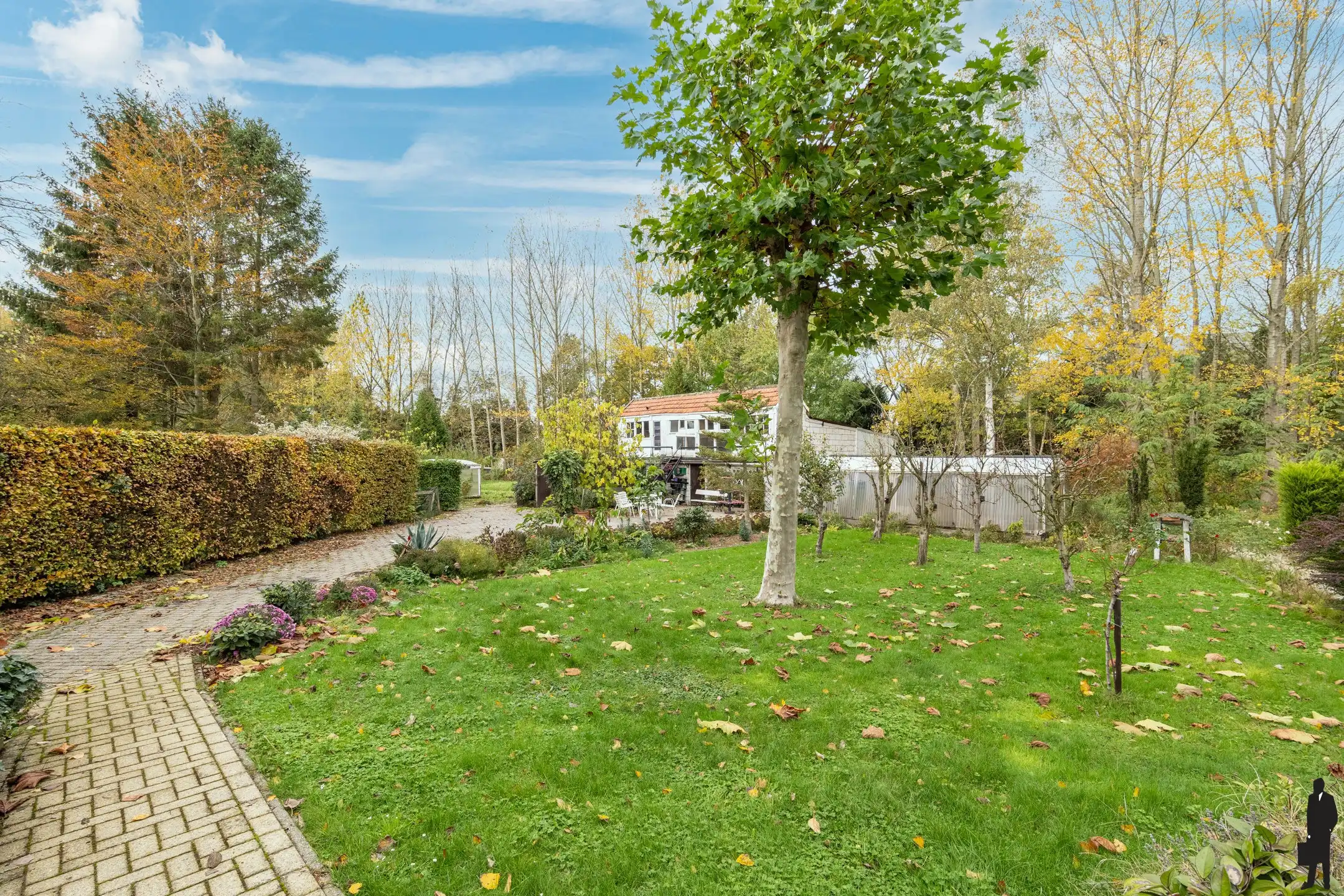 Woning op riant perceel van 8.906m² met vele mogelijkheden foto 20