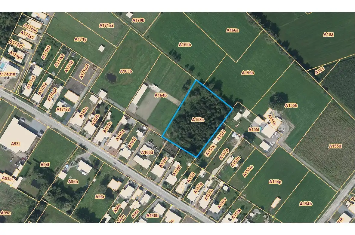 Rustig gelegen perceel bebost landbouwgrond te Schriek foto {{pictureIndex}}