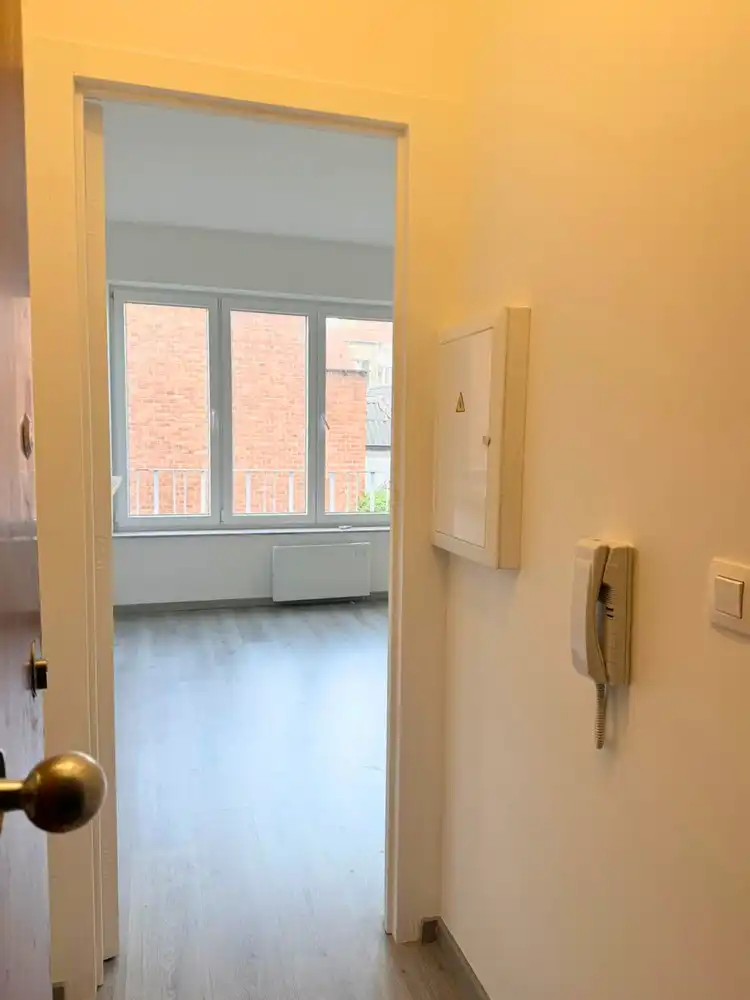 Gerenoveerde studio van 33m² op wandelafstand van het Fernand Cocqplein foto 7
