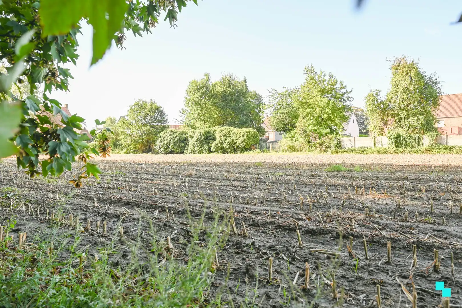 Exclusieve bouwgronden in residentiële laan te Wielsbeke foto 8
