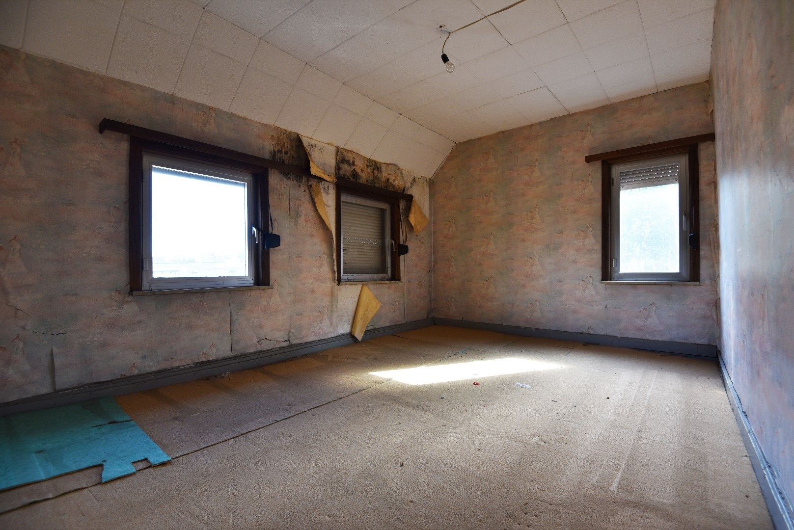 Totaal te renoveren / herop te bouwen woning te Eeklo foto 6