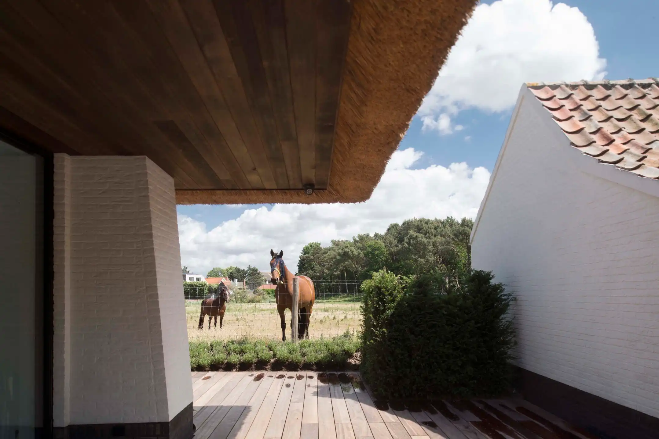 Villa met sublieme afwerking en adembenemend polderzicht... foto 3