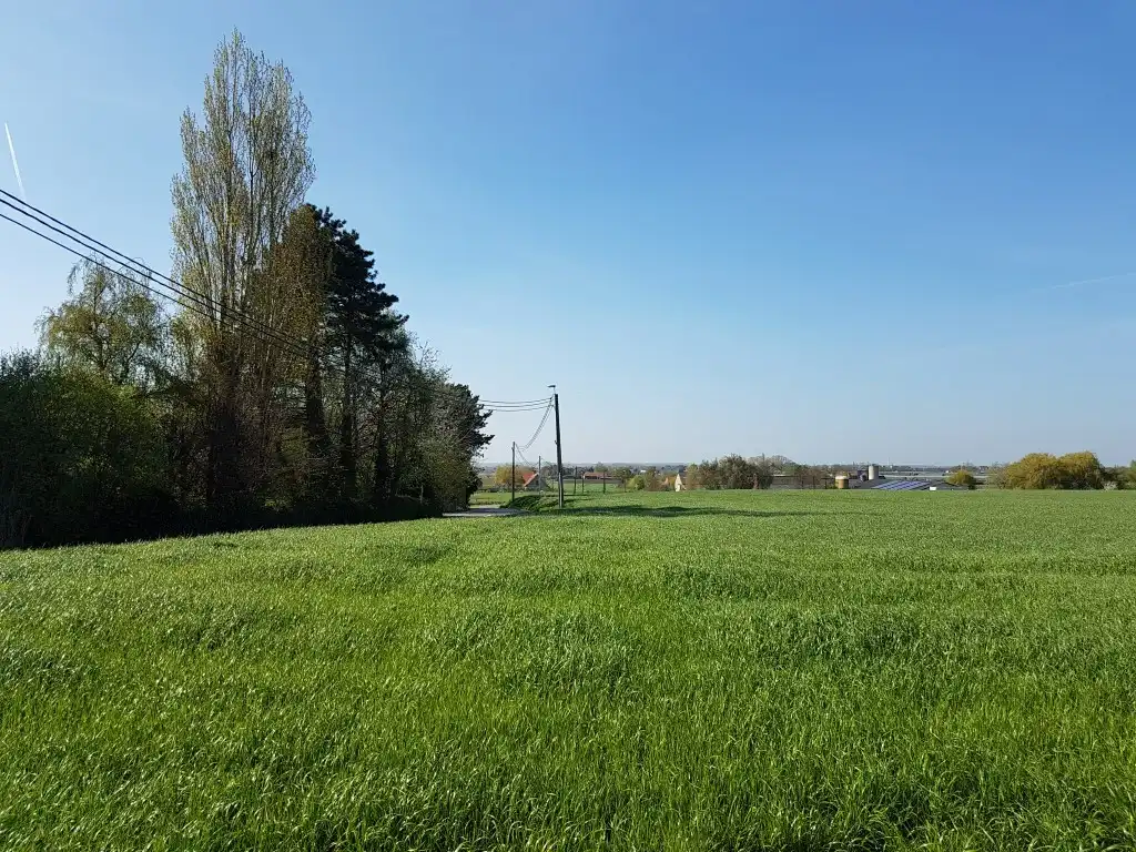 Unieke gezinswoning  op 1608m² met landelijk verzicht foto 25