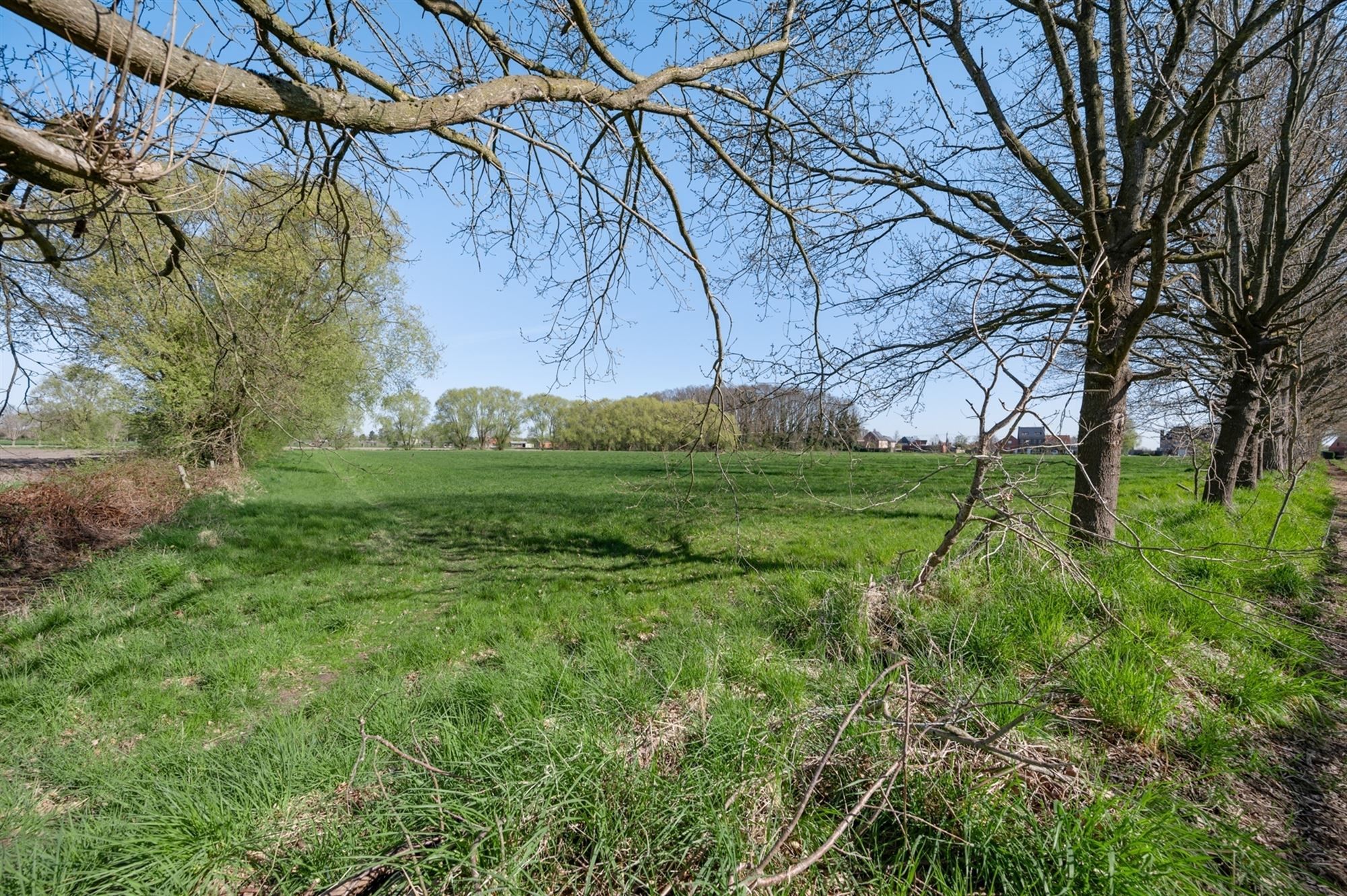 Mooi perceel landbouwgrond te Onze-Lieve-Vrouw-Waver (nabij Putte) foto 6