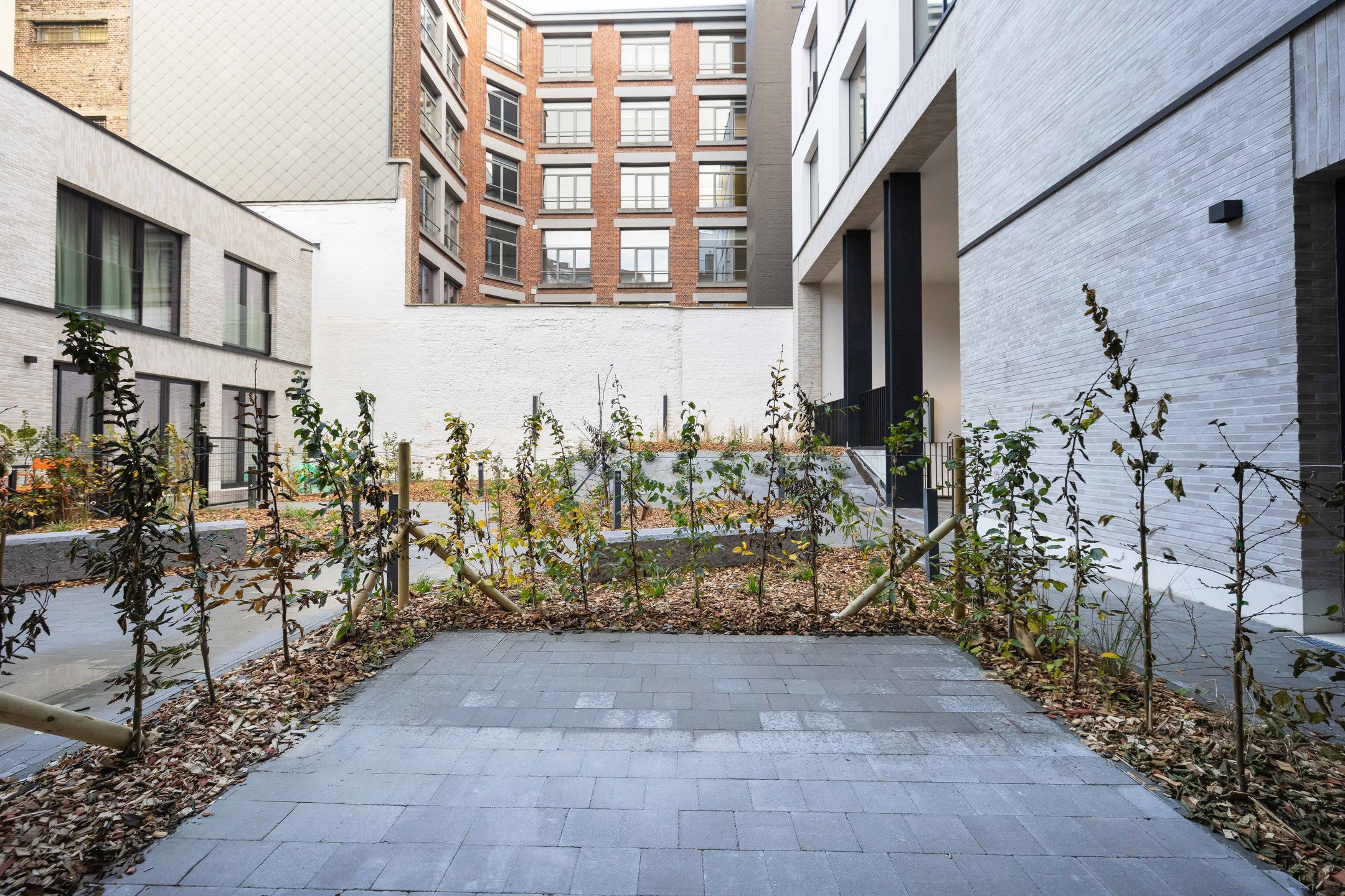 LAATSTE KANSEN ! foto 13