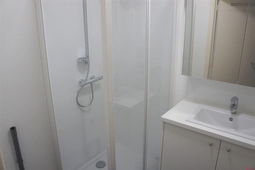 Aangenaam appartement midden in de stad foto 11