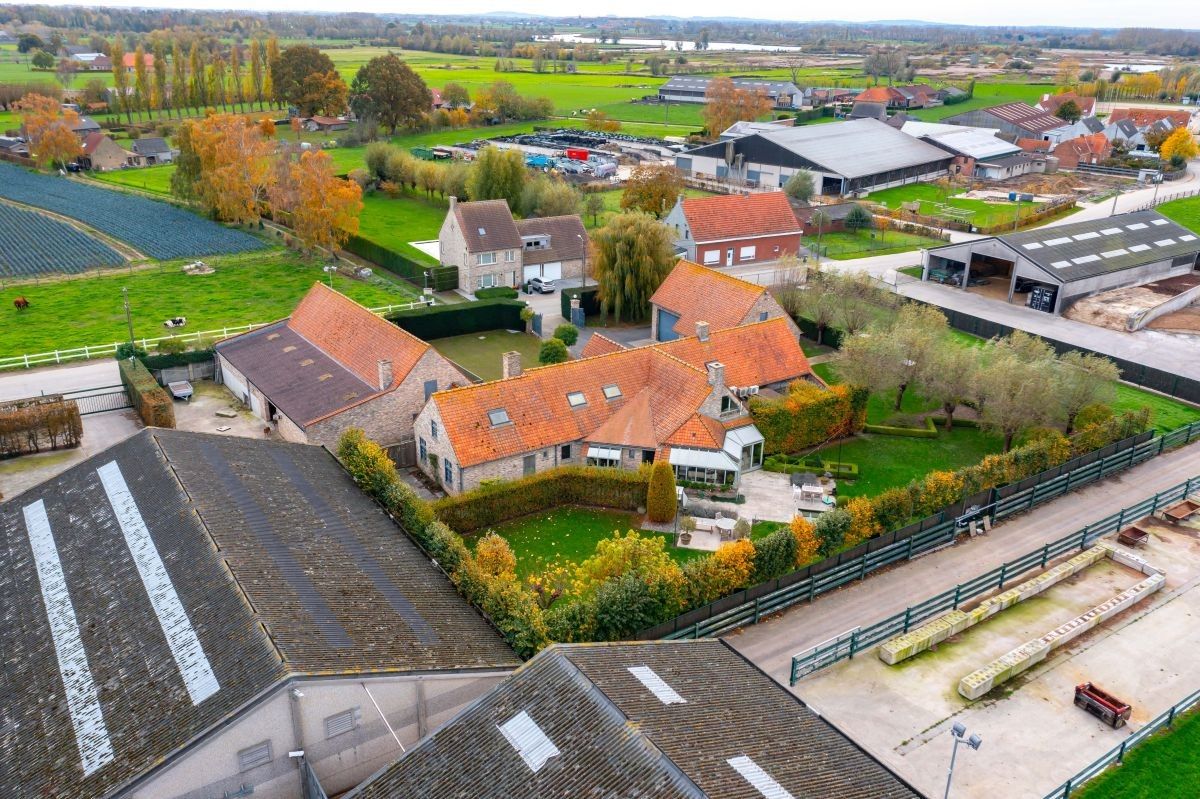 Groot vleesveebedrijf te koop te Diksmuide foto 5