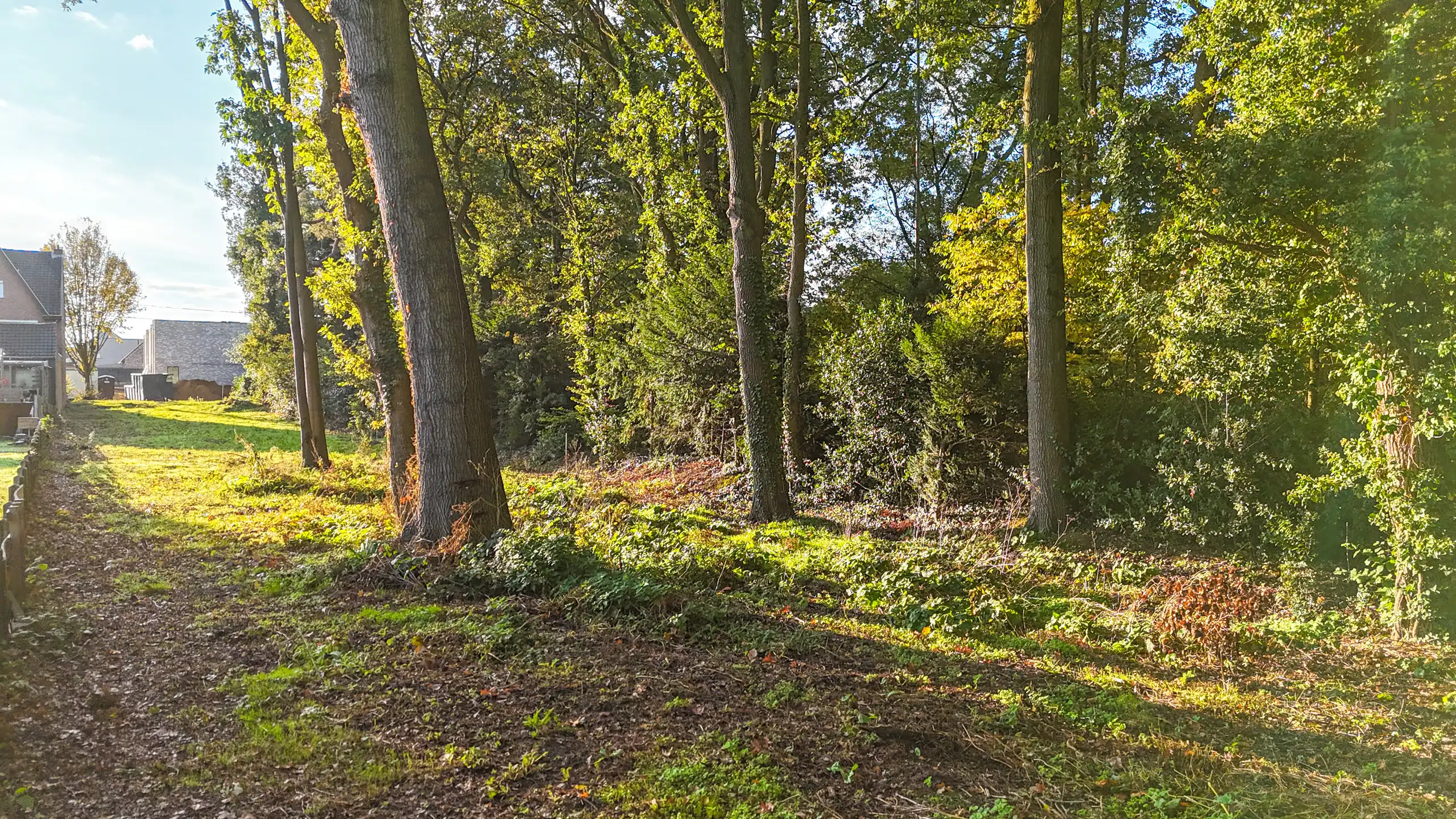 Bouwgrond voor HOB met vergunde plannen in Heusden-Zolder! foto 14