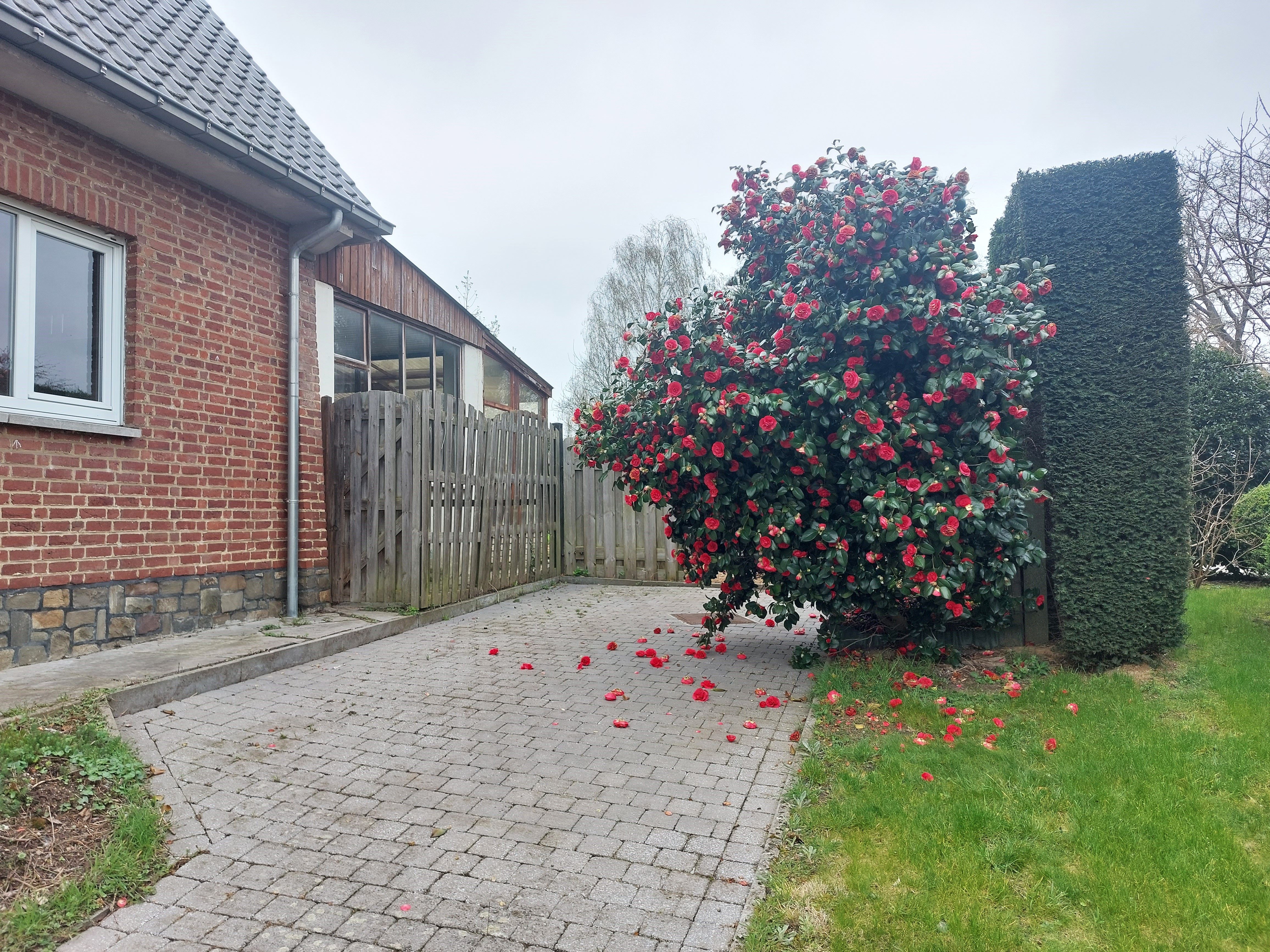 Vrijstaande woning gelegen in doodlopende straat in Leuvense stadsrand foto 30