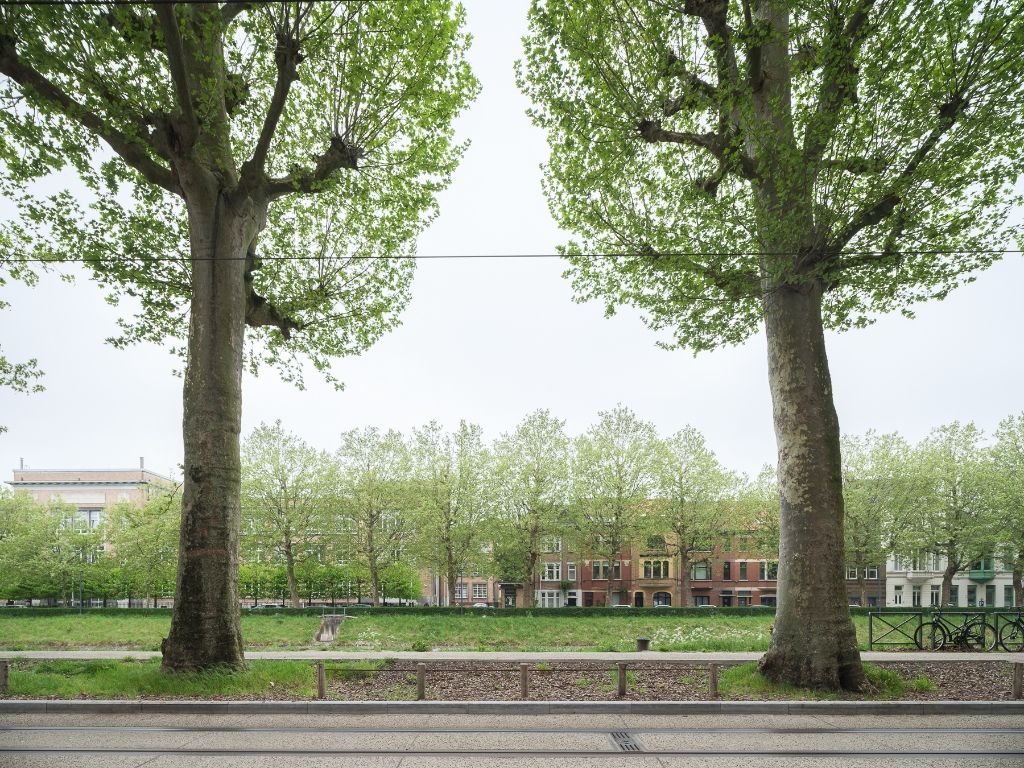 Instapklaar 2-slaapkamer appartement met een zicht over de Coupure foto 3