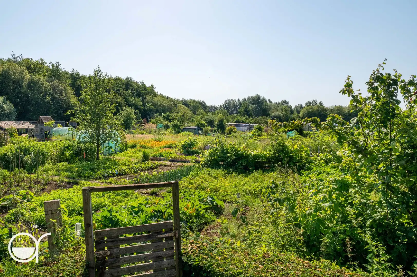 Landbouwgrond met 24 volkstuinen foto 2