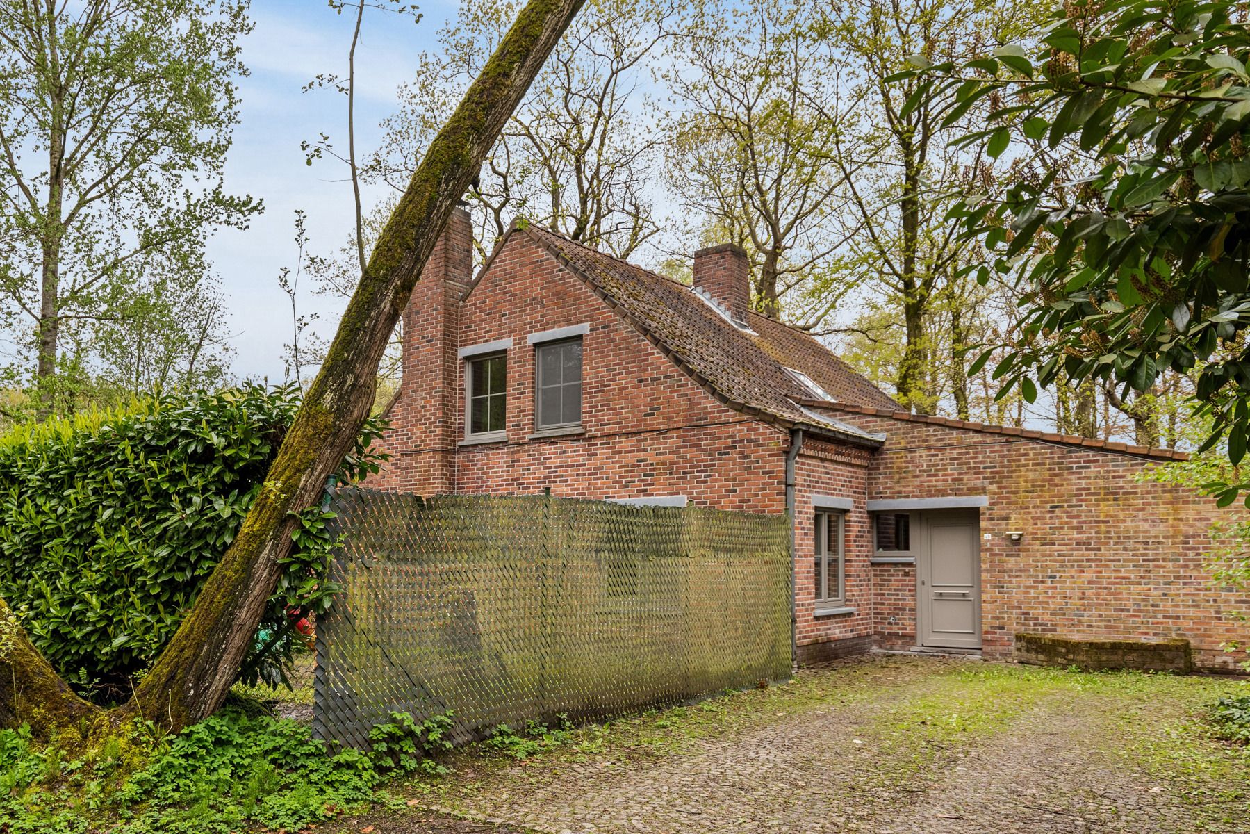 Uitzonderlijke gelegen villa in het Loveld met zicht op natuurgebied de Kraenepoel! foto 6