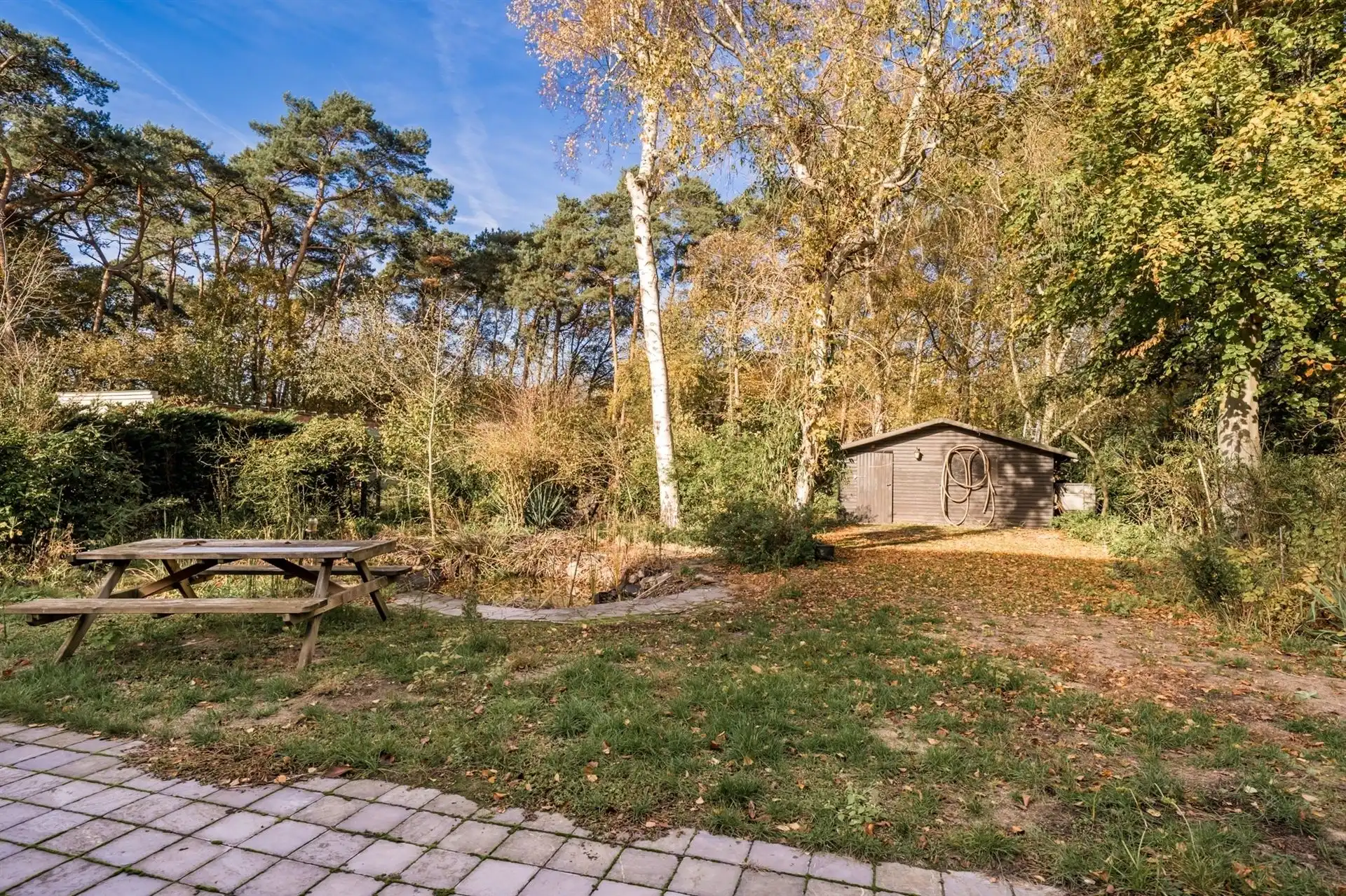 Te renoveren woning met grote tuin en eigen bos in rustig Bonheiden.  foto 3