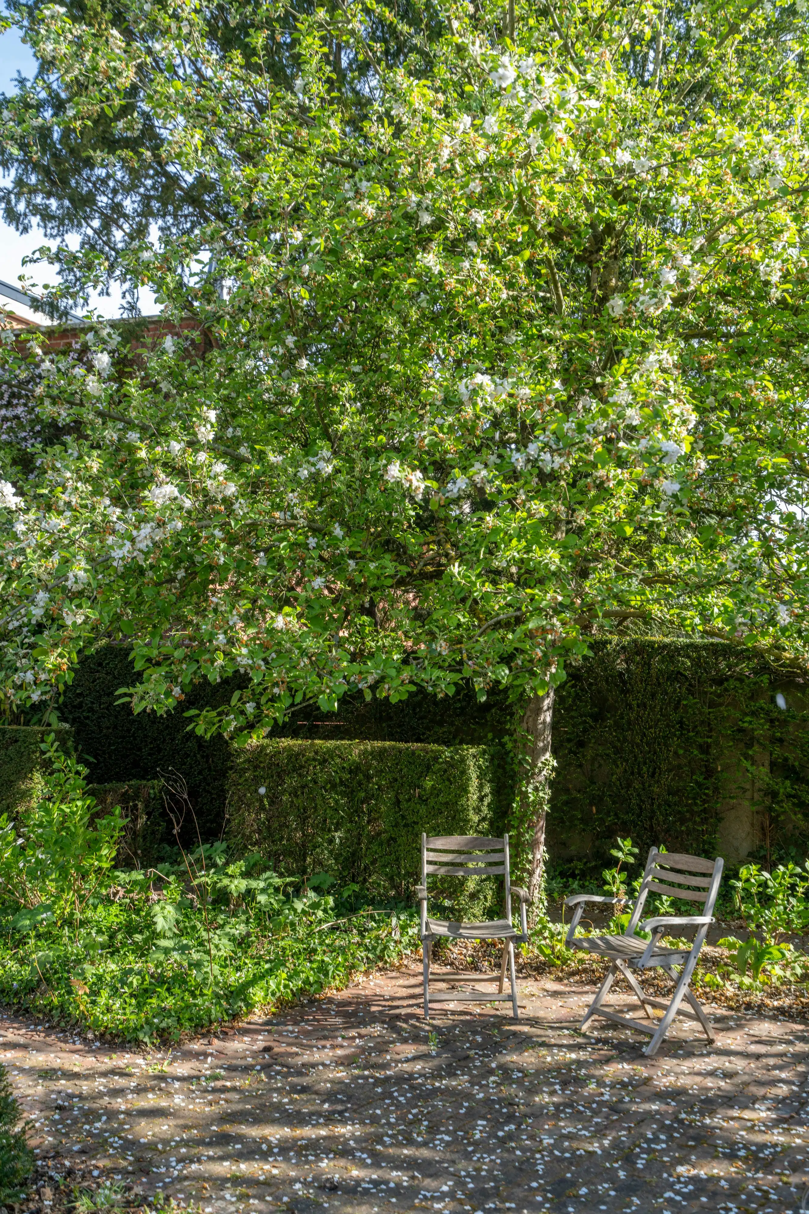 Karaktervolle burgerwoning op toplocatie in groene omgeving foto 11