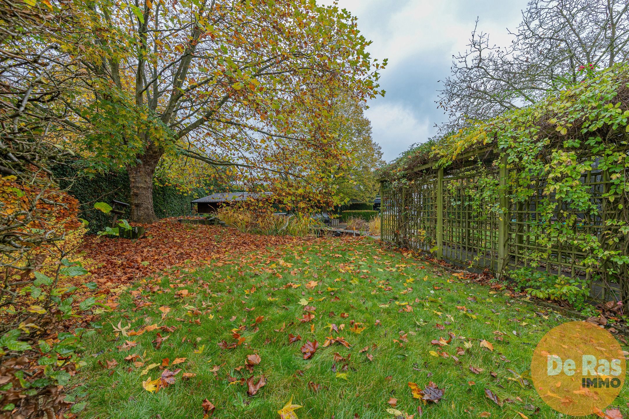 EREMBODEGEM - Unieke woning aan de stadsrand met grote tuin foto 28