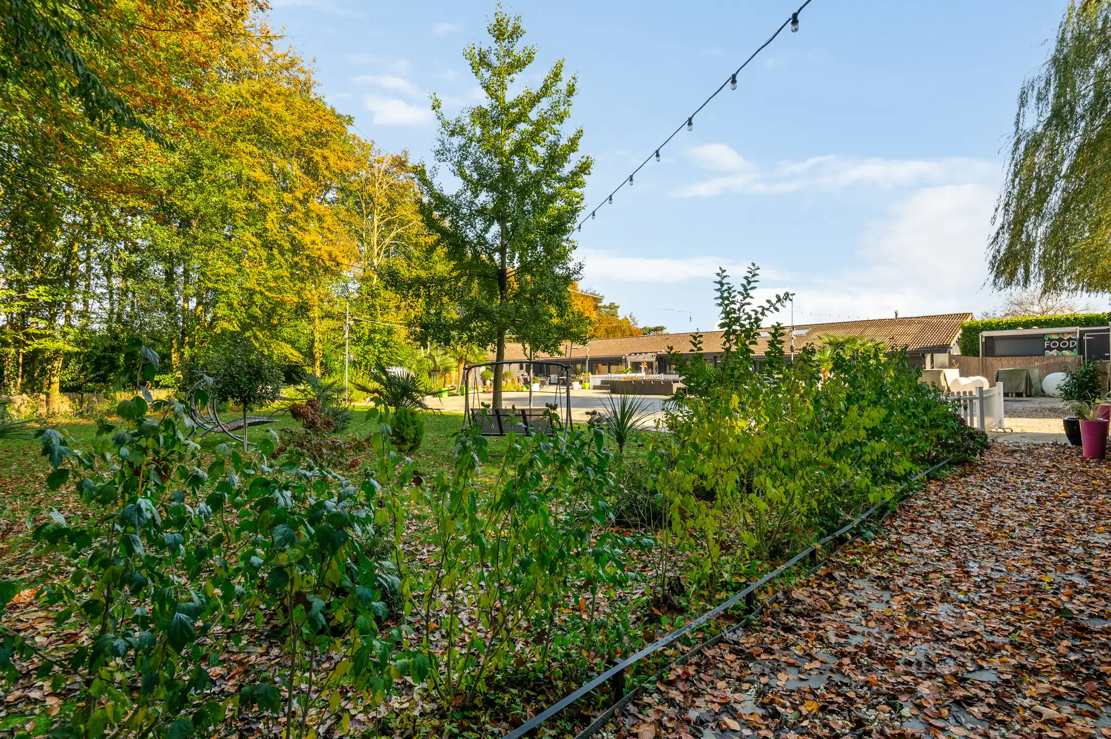 Polyvalent gebouw gelegen in recreatiegebied  foto 19