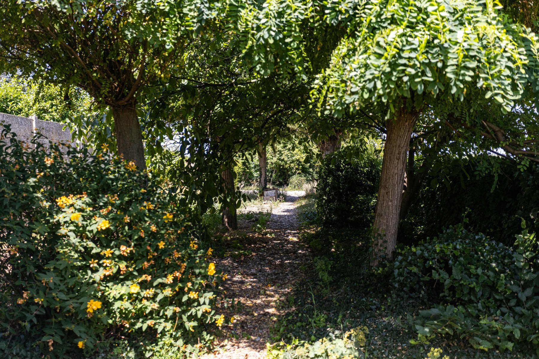 Te renoveren woning met grote tuin en atelier op toplocatie! foto 35