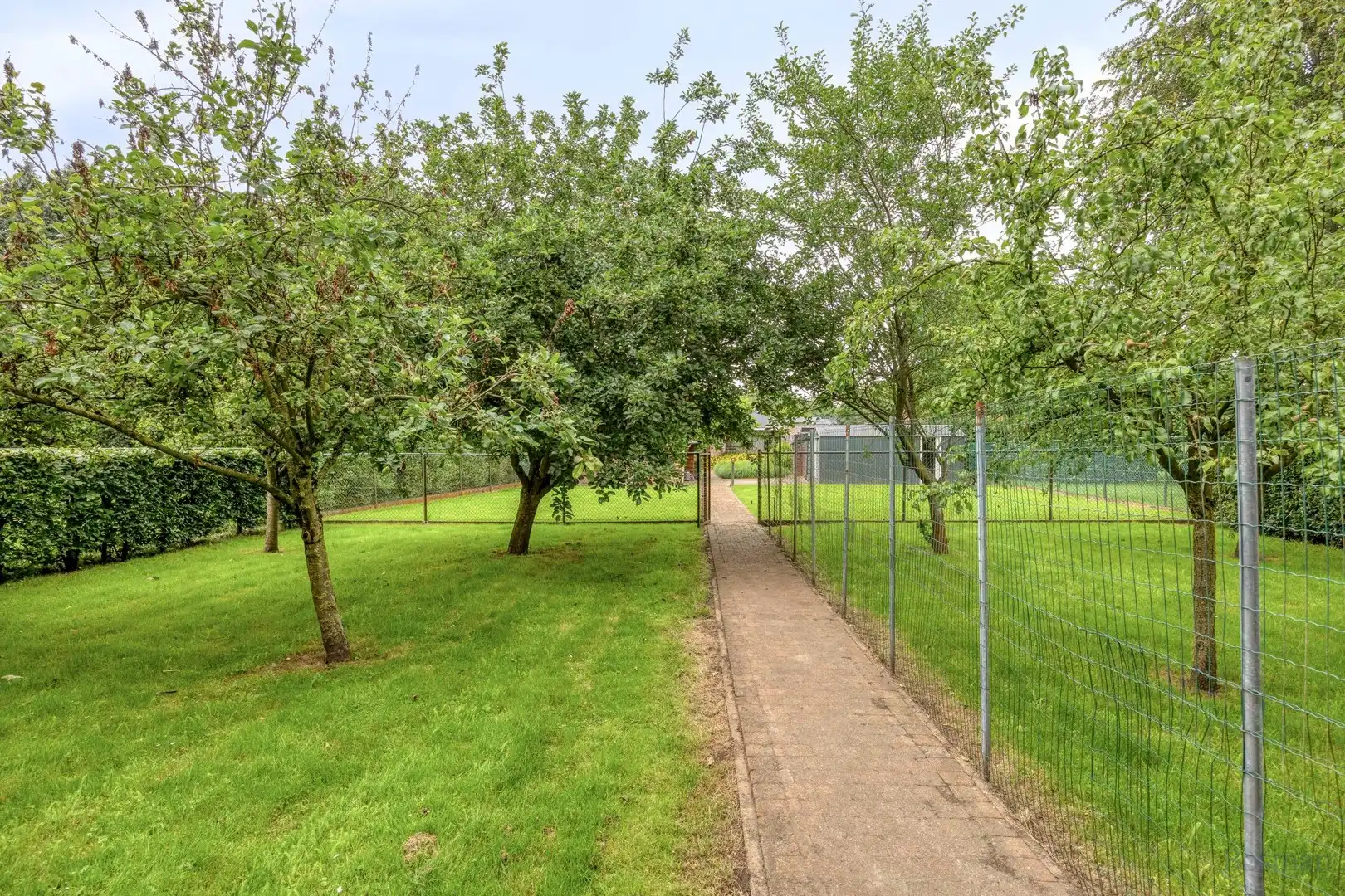 Gelijkvloerse woning te koop in Meerhout foto 24