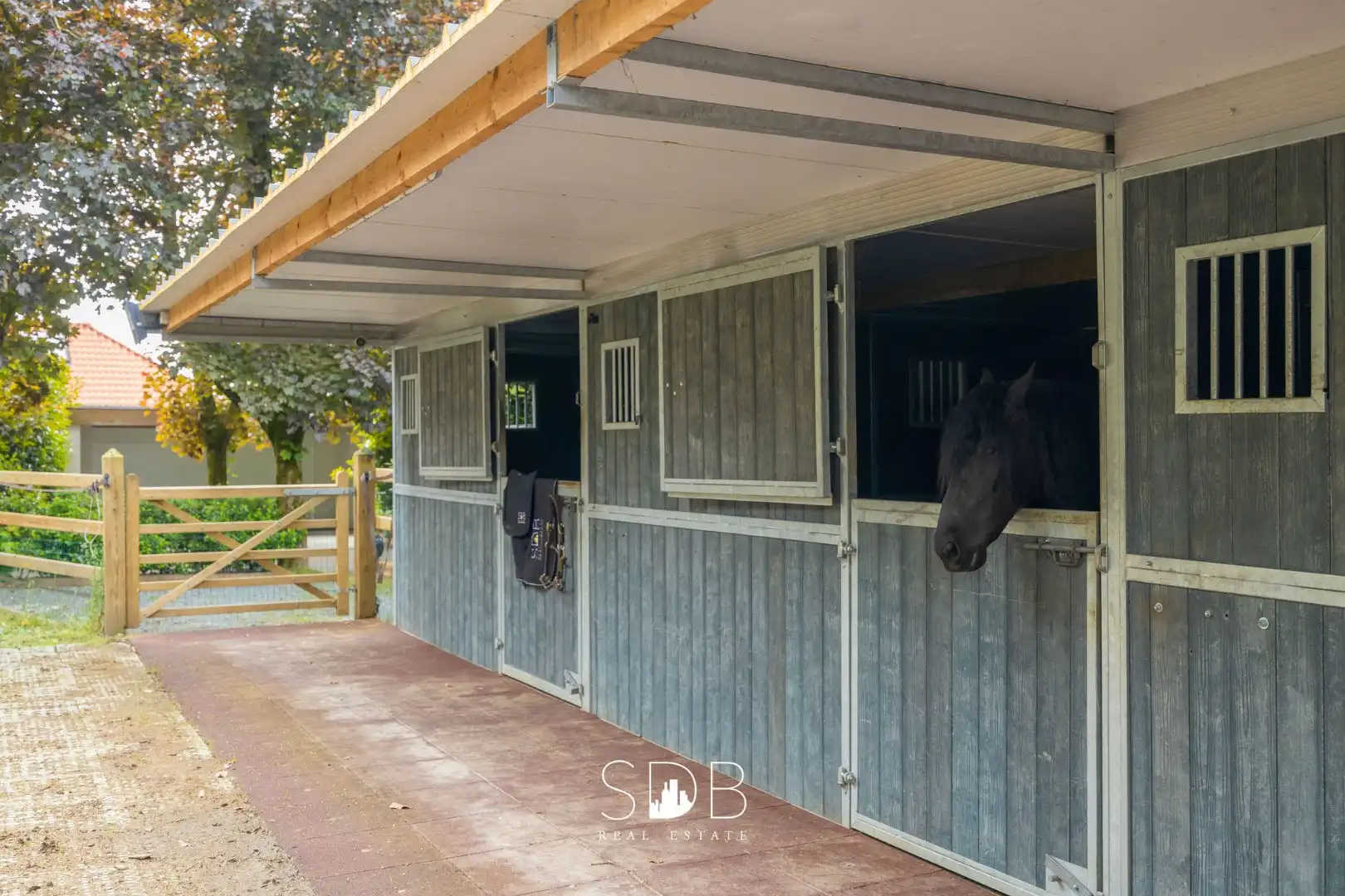 Prachtige villa met zwembad, paardenstallen, paddock en grasland op 1,3HA foto 39