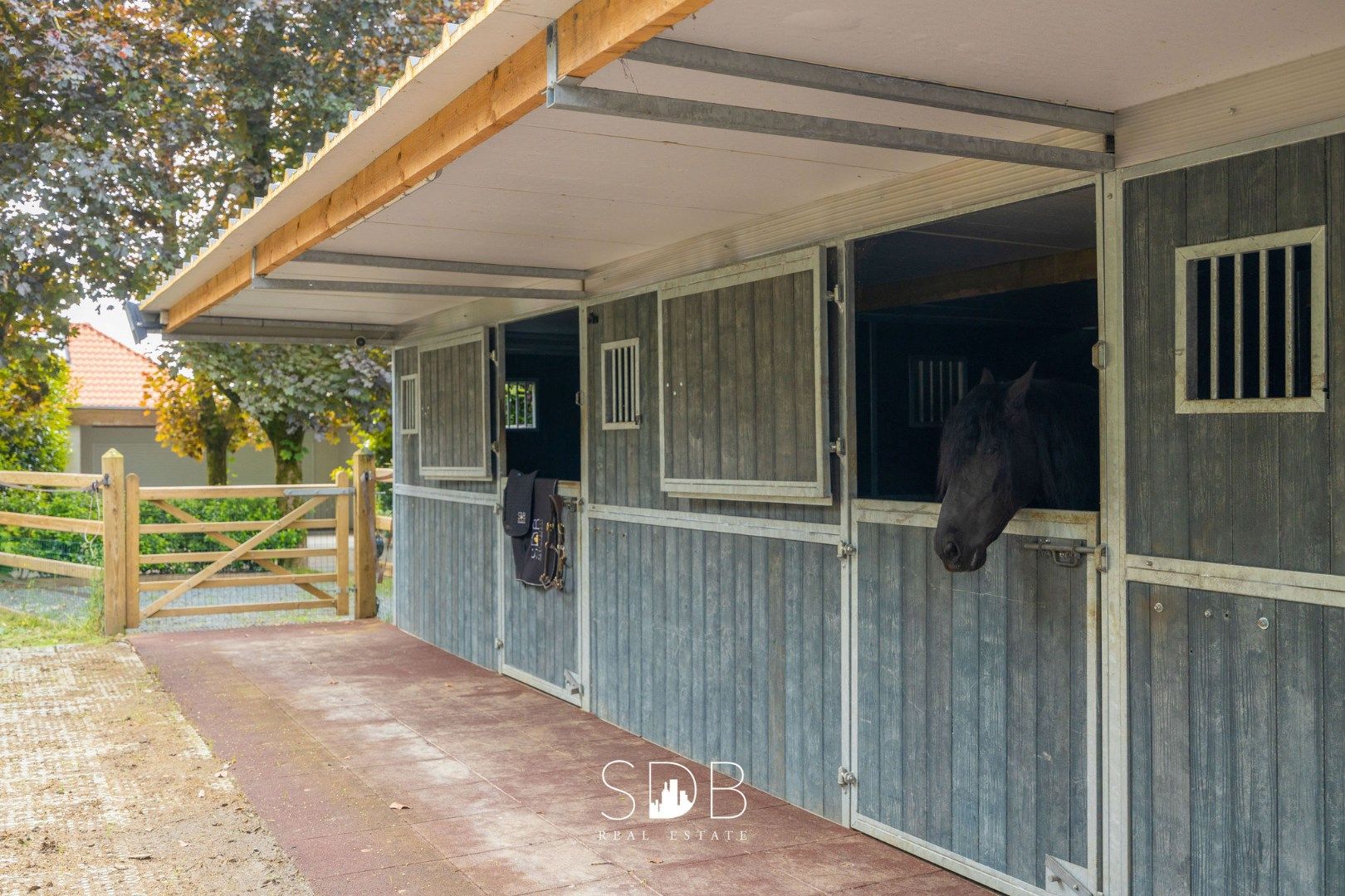 Prachtige villa met zwembad, paardenstallen, paddock en grasland op 1,3HA foto 39