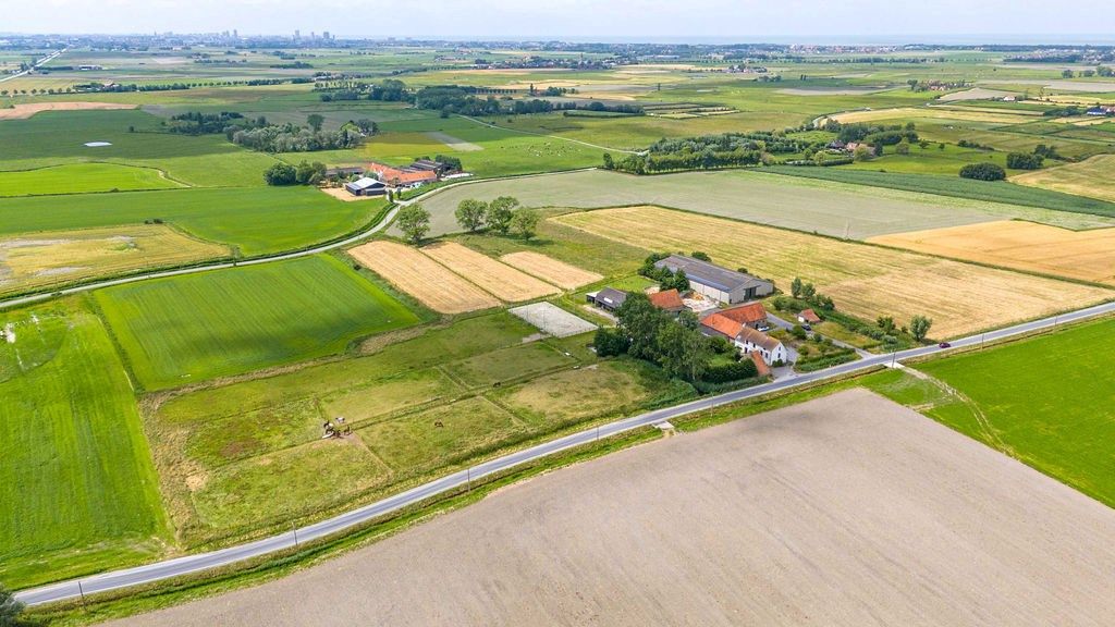 HOEVE op 6,9 HA met NIEUWE VERGUNNING voor PAARDENFOKKERIJ foto 14