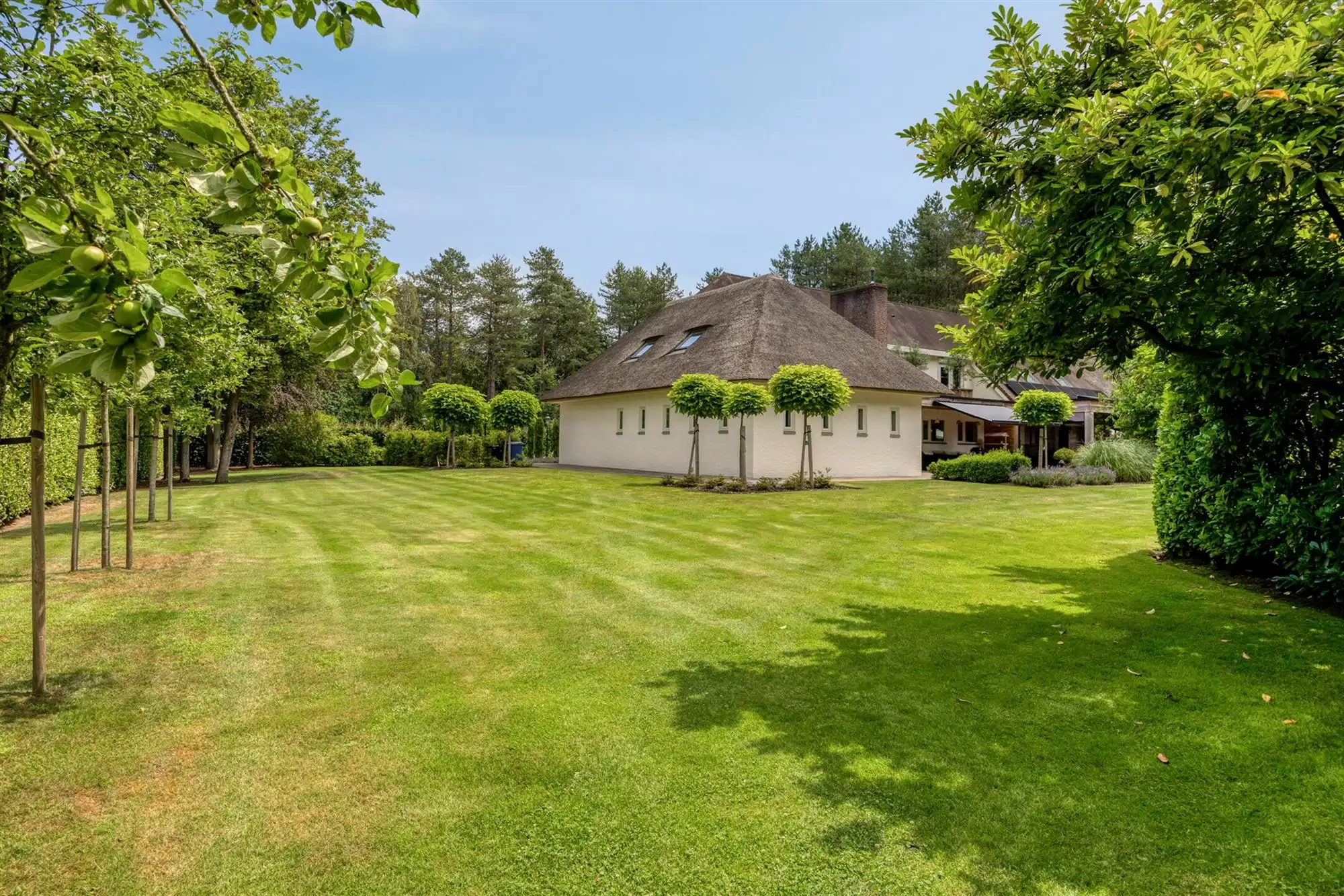 Landelijke luxe: unieke villa op ca. 11.000 m² privé-domein foto 77