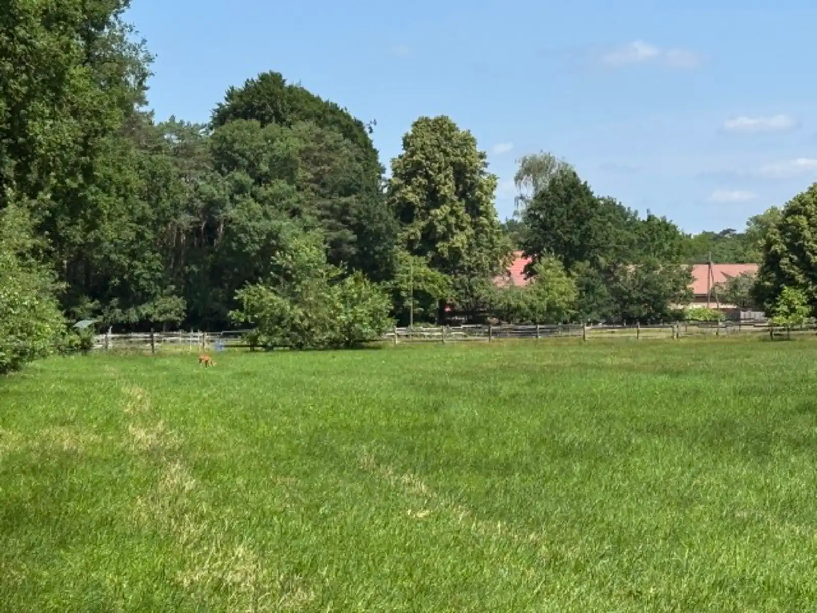 Grond te koop foto 6