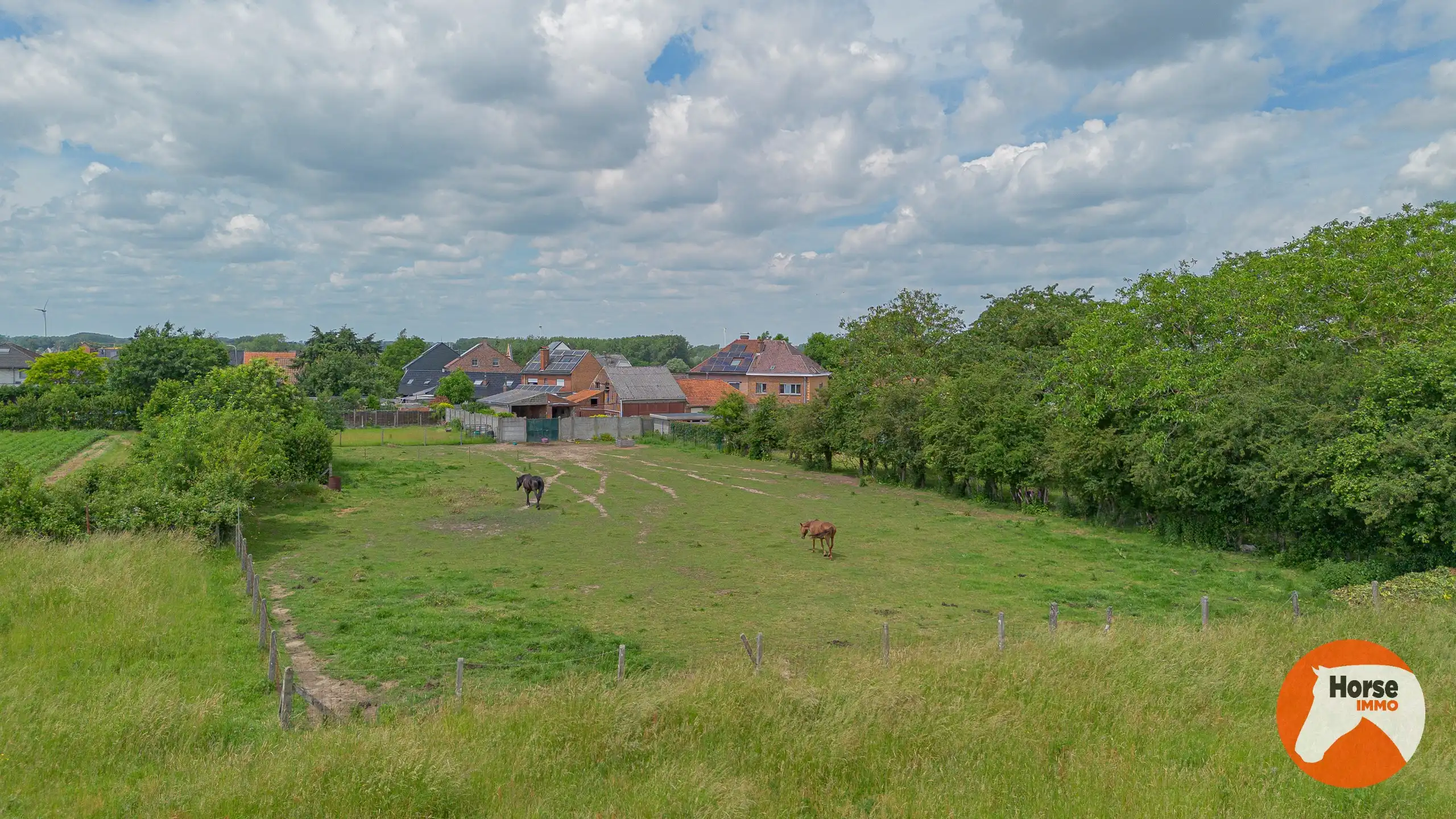 LIEDEKERKE – Gezinswoning met weide en loodsen op 30a 25ca foto 28