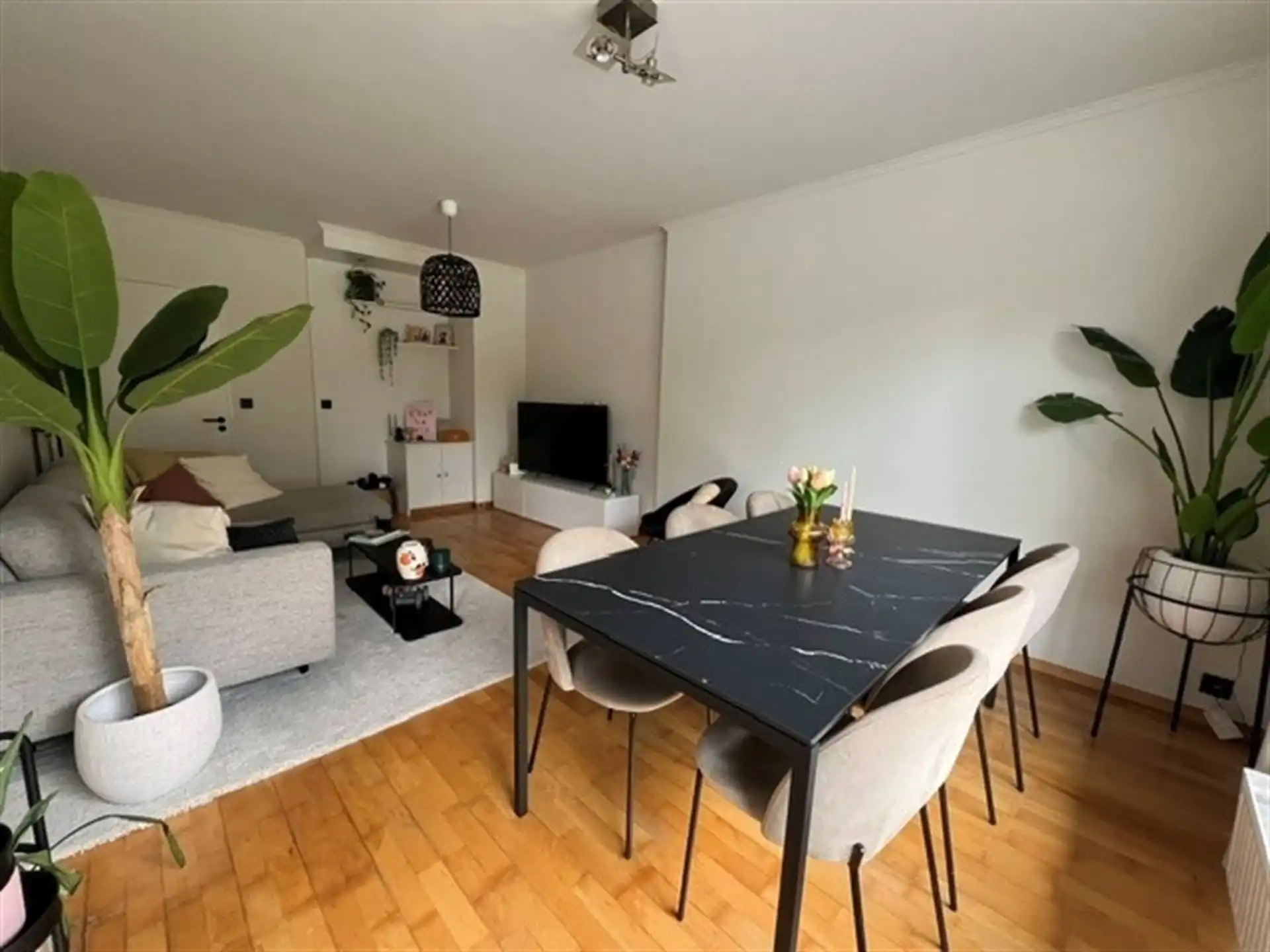 gelijkvloersappartement nabij Schoonselhof foto 5