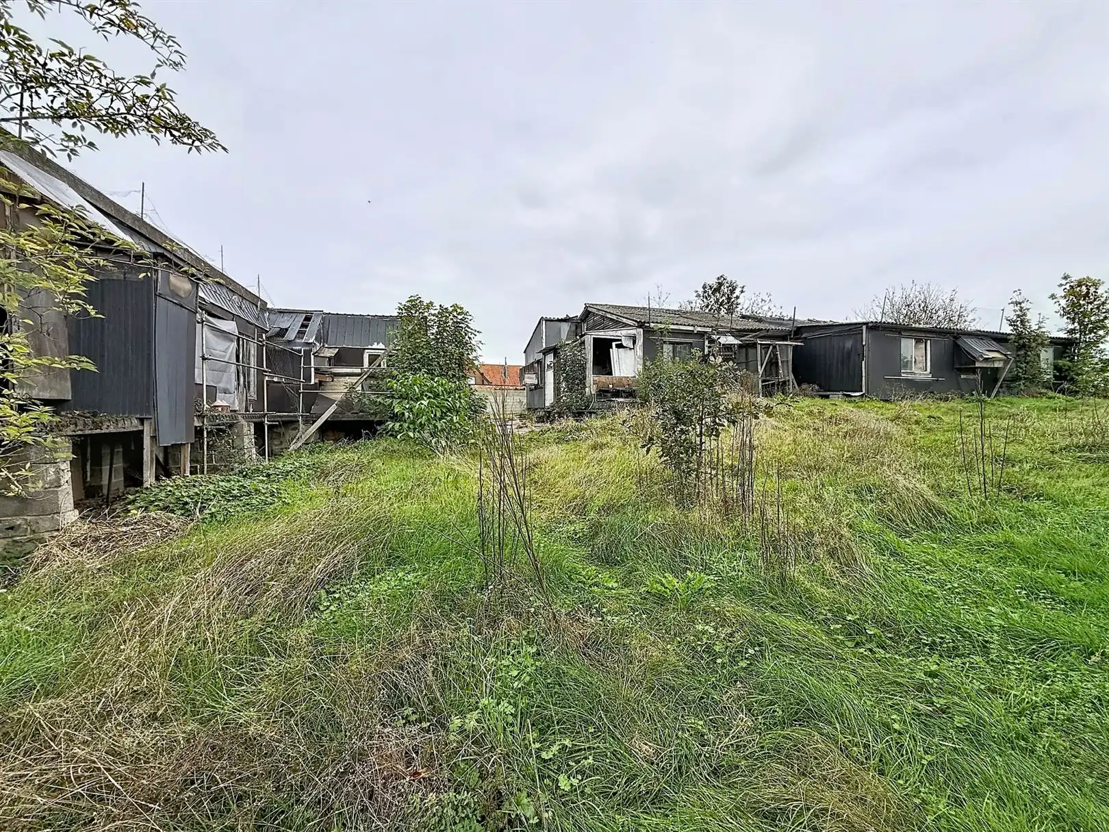 Te renoveren woning met tuin, 4 slpks, 17a 52ca foto 5