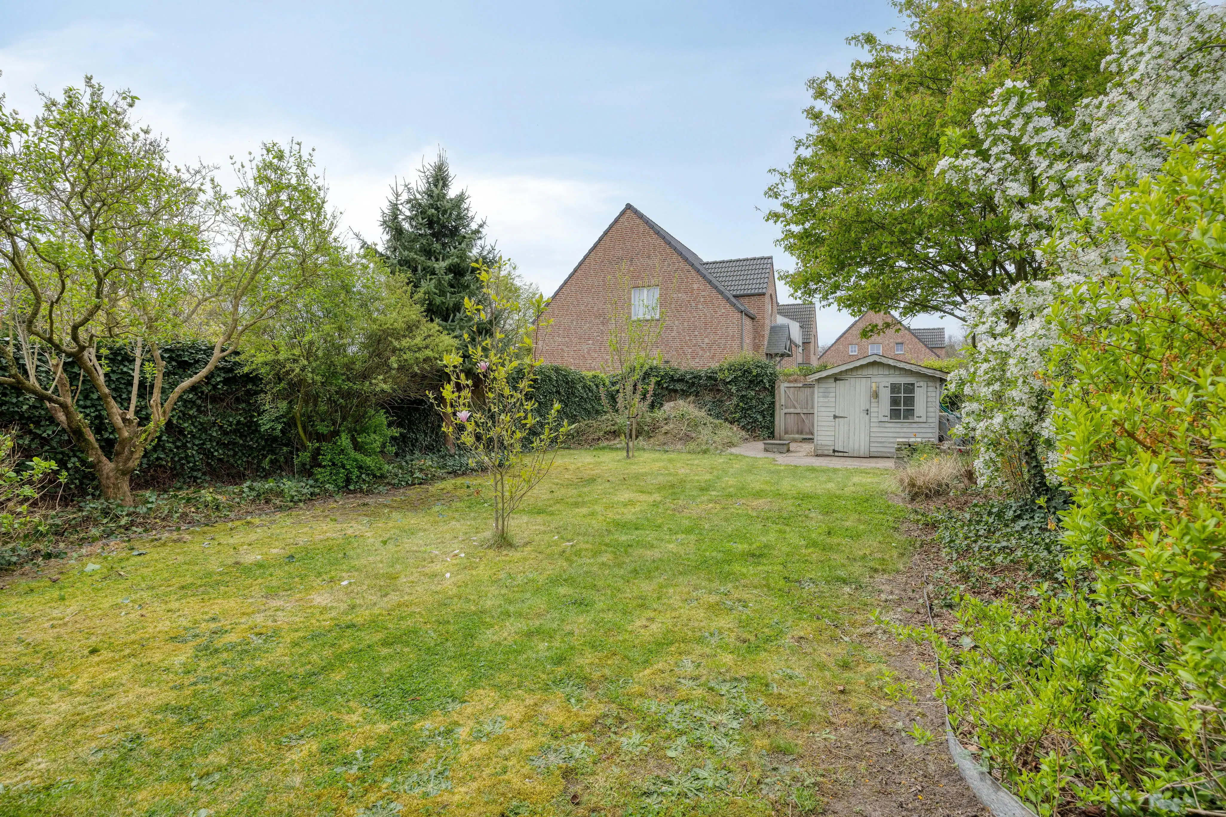 Instapklare woning met 4 slaapkamers te koop in Loenhout! foto 45