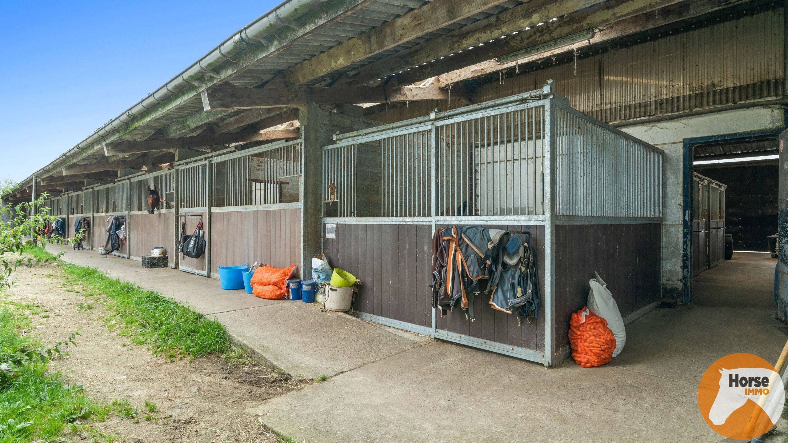 BONHEIDEN- Unieke paardenaccommodatie, landelijke woning 8HA foto 38