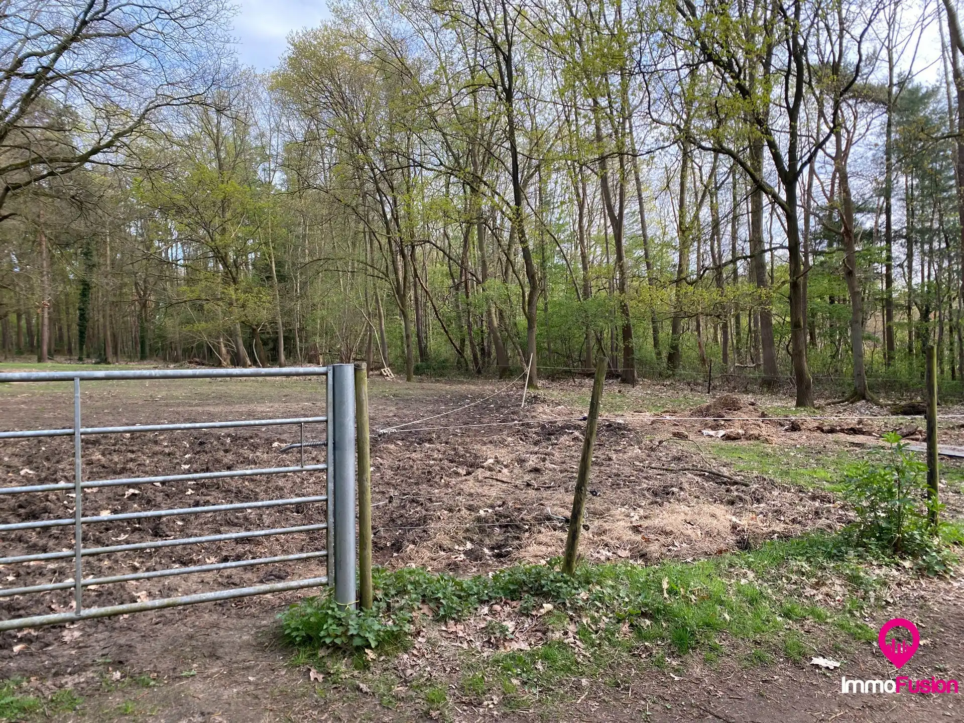 Ideale weide voor dierenliefhebbers in landelijke omgeving foto 3