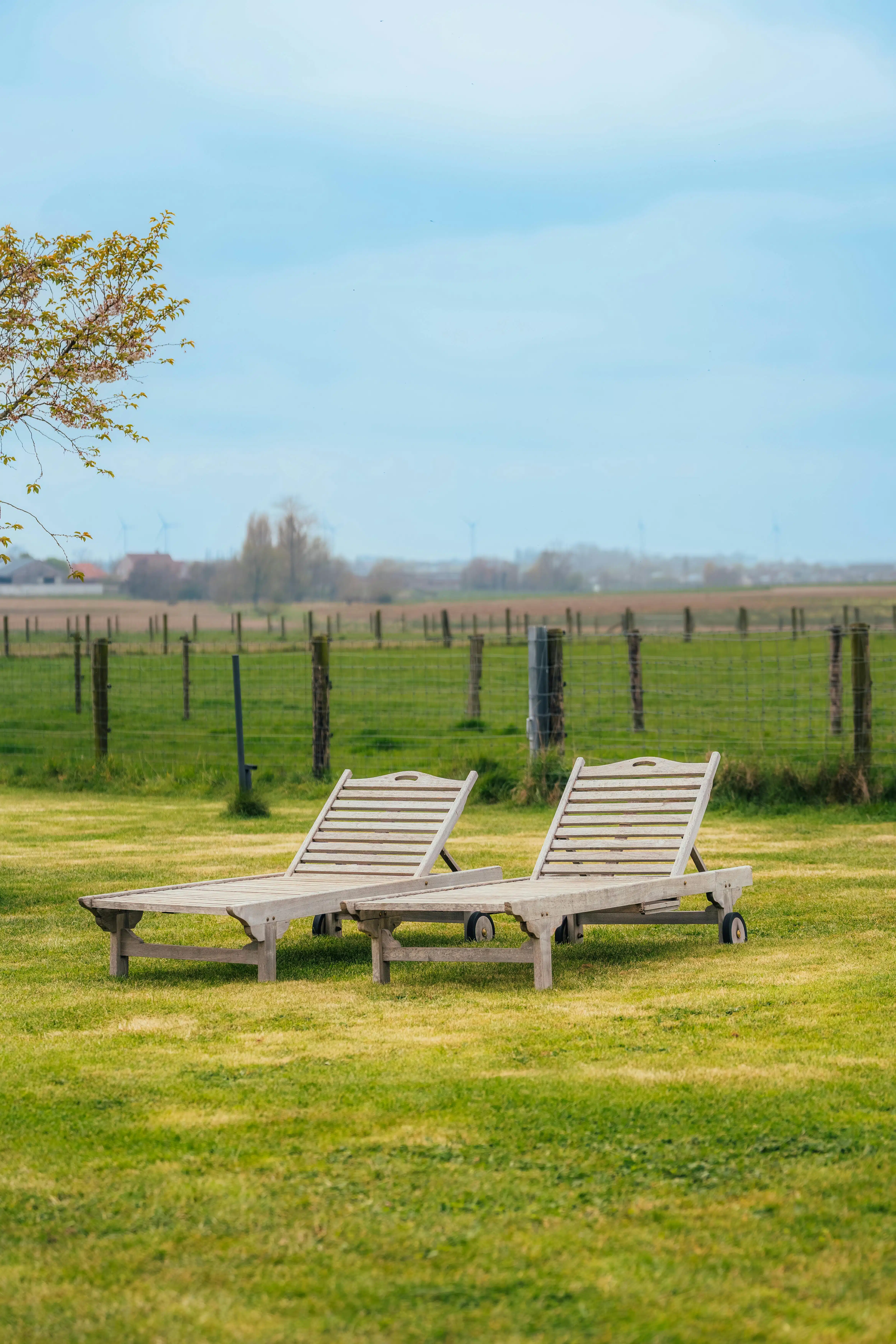 Landelijke woning met bijgebouw op 3.000m² te Passendale foto 40