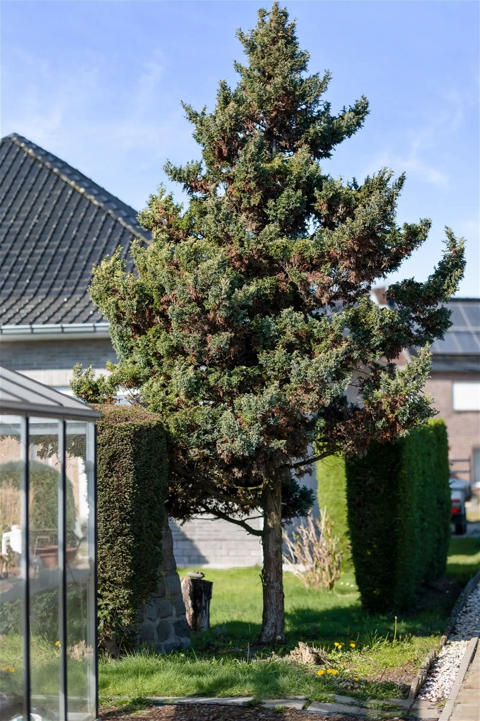 villa bungalow met tuin en aparte garage op +/- 10are foto 24