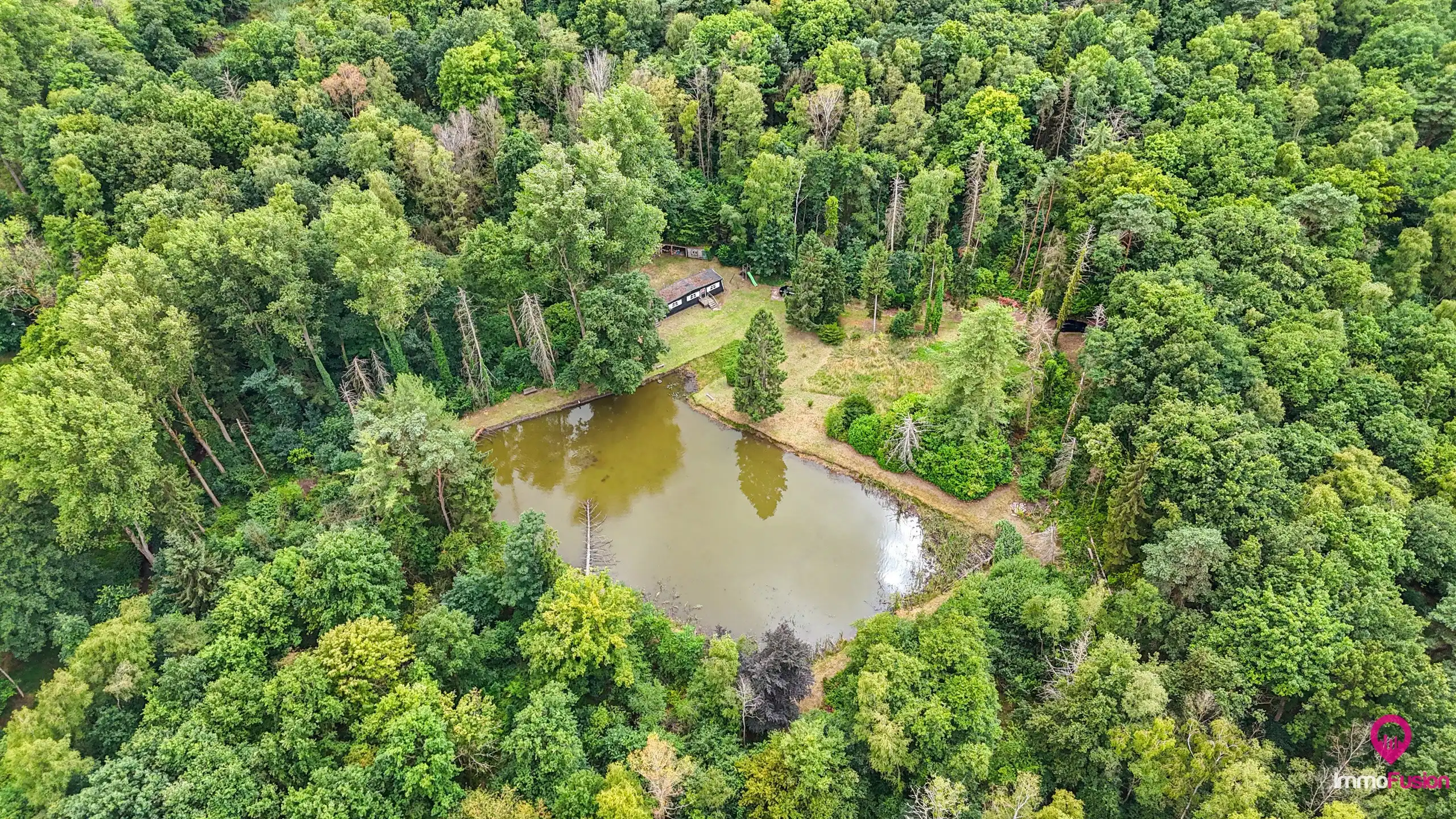 Droom buitenverblijf in Hasselt voor natuurliefhebbers!  foto 2