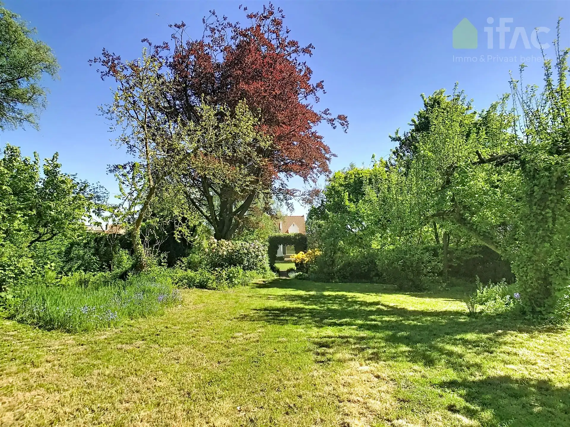 Villa op toplocatie met prachtige tuin foto 11