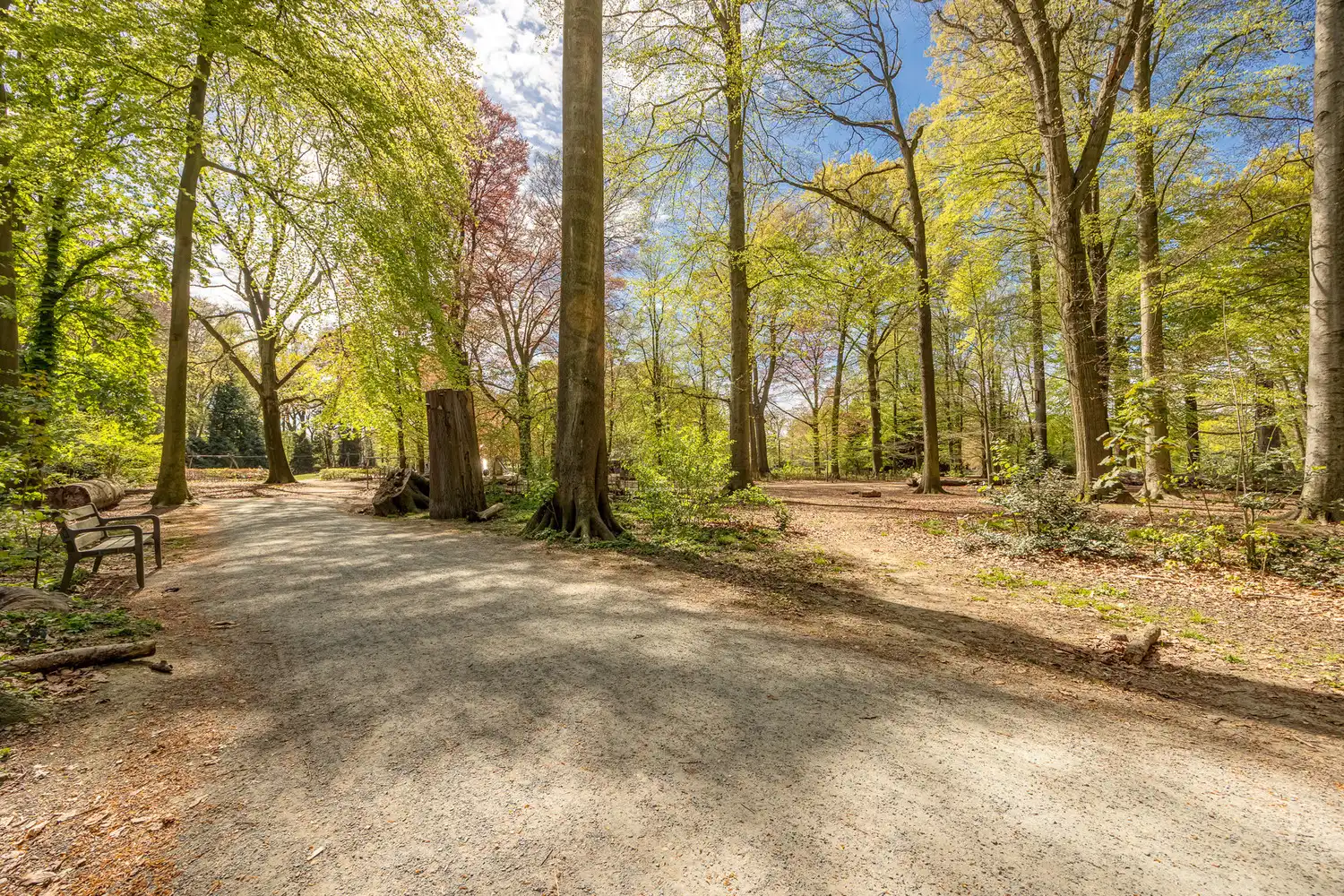 Unieke halfopen parkwoning (230m²) met schitterende Art-déco elementen op toplocatie tegenover het Te Boelaerpark foto 2