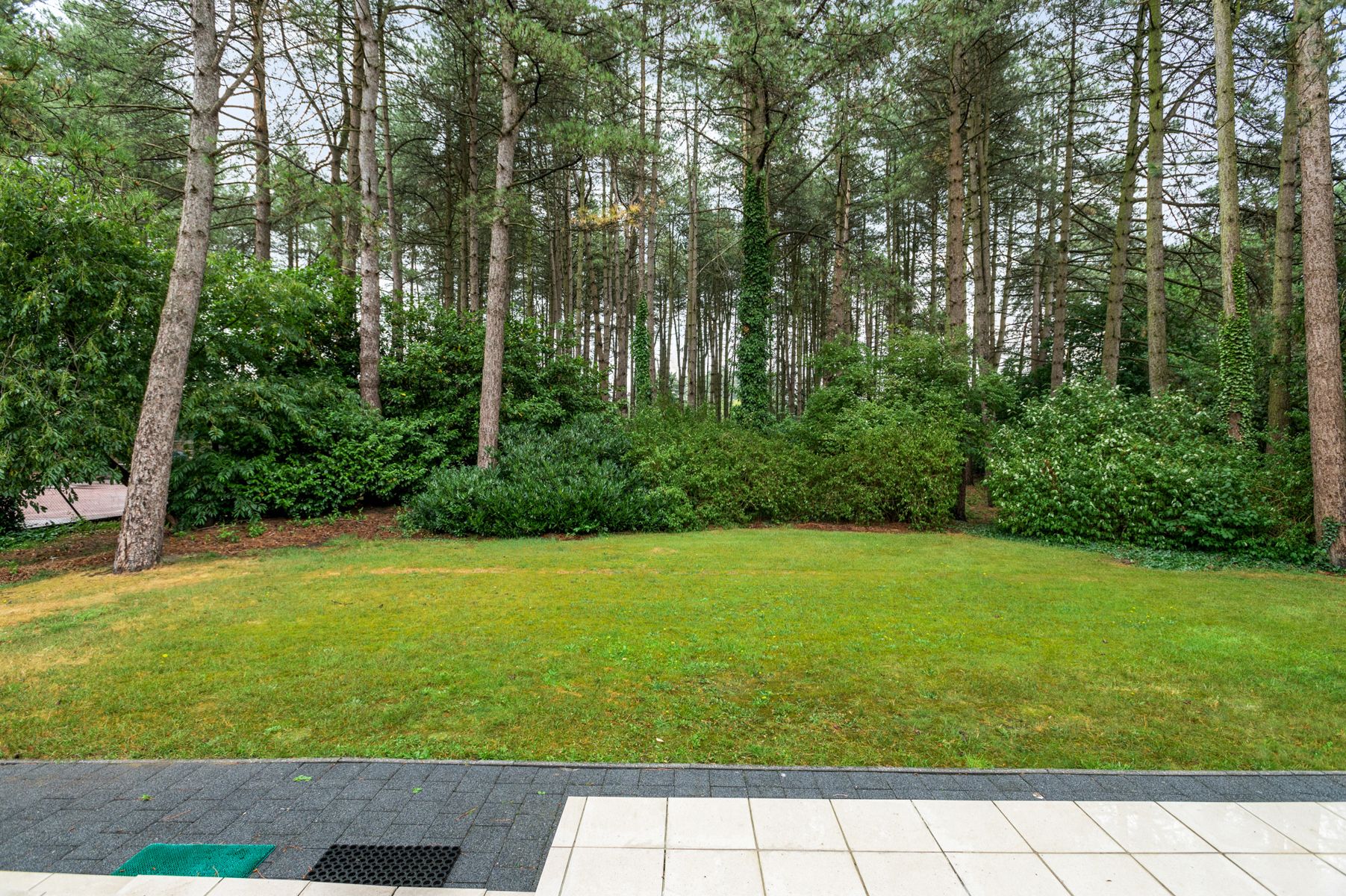 Gelijkvloerse villa met 3 slks op 2800m2 grond foto 26