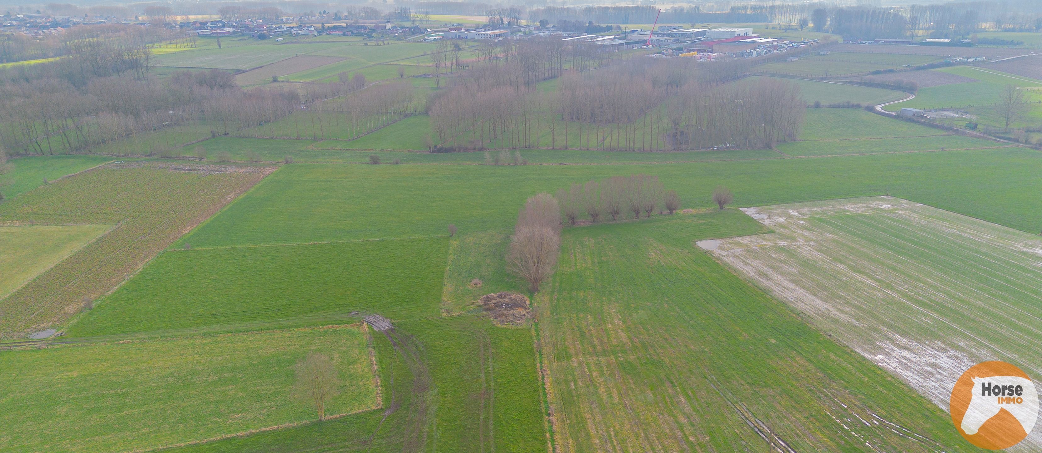 HILLEGEM – Landbouwgronden te koop foto 5