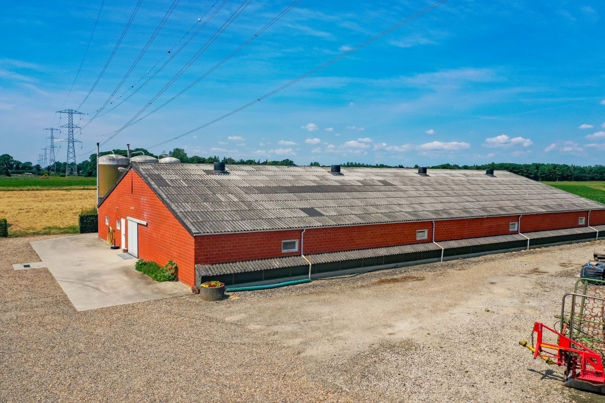 Hoeve met gronden te koop te Kinrooi foto 16