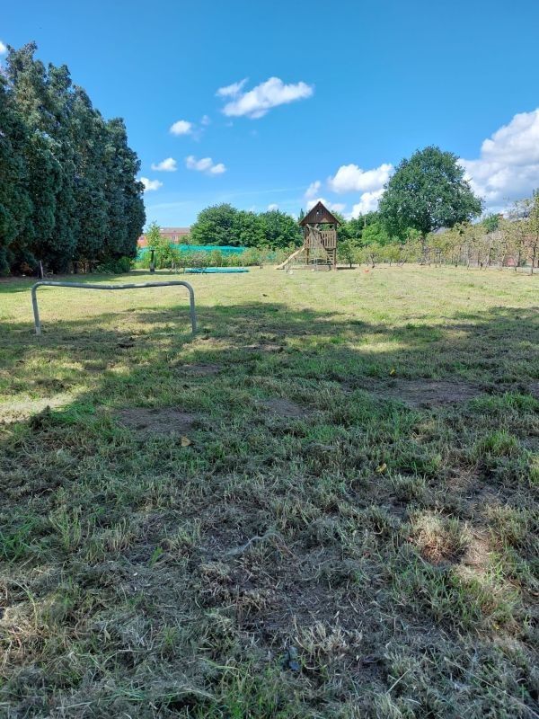 In dorpskern gelegen hoeve te koop te Hoevenen (Stabroek) foto 13