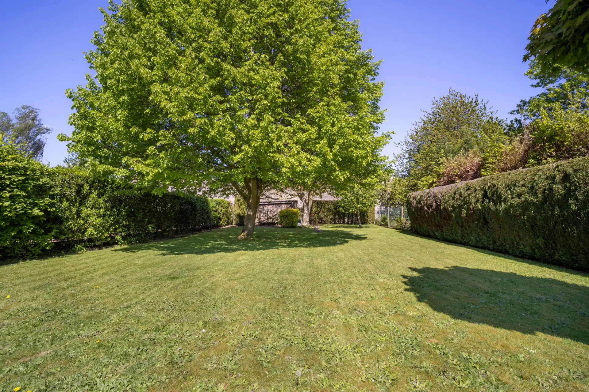 Rustig gelegen gezinswoning op 789m² foto 15