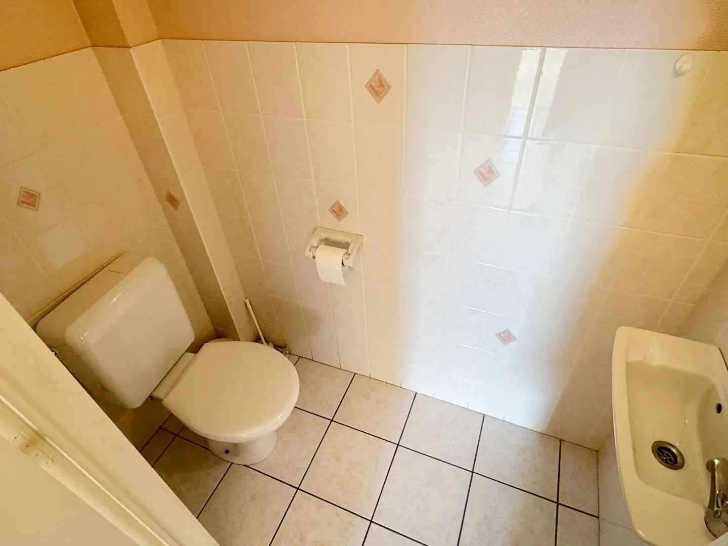 Ernest D'Arripe 0301 foto 13