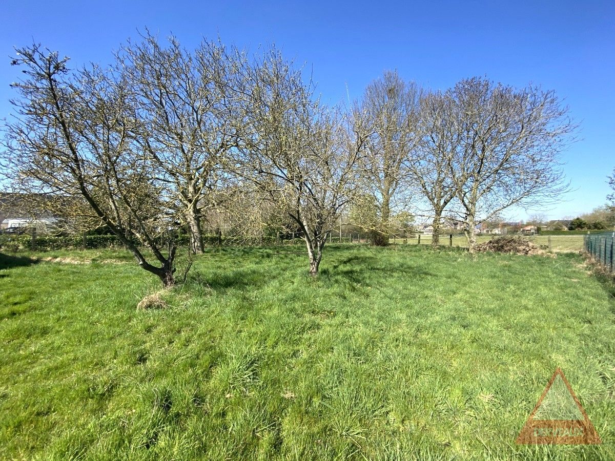 Zonnebeke - Woning met landelijke ligging en loods foto 19