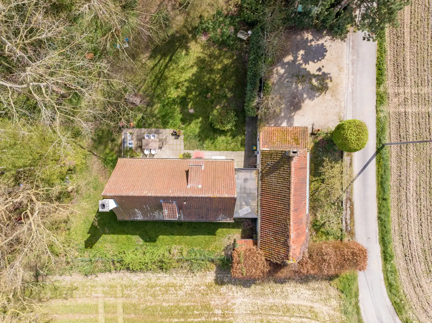 Exclusieve alleenstaande woning te koop in het idyllische en landelijke Kooigem foto 6