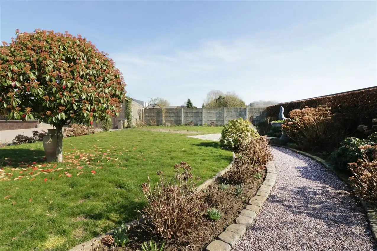 groene omgeving,  klein weiland, zichtbaarheid foto 99