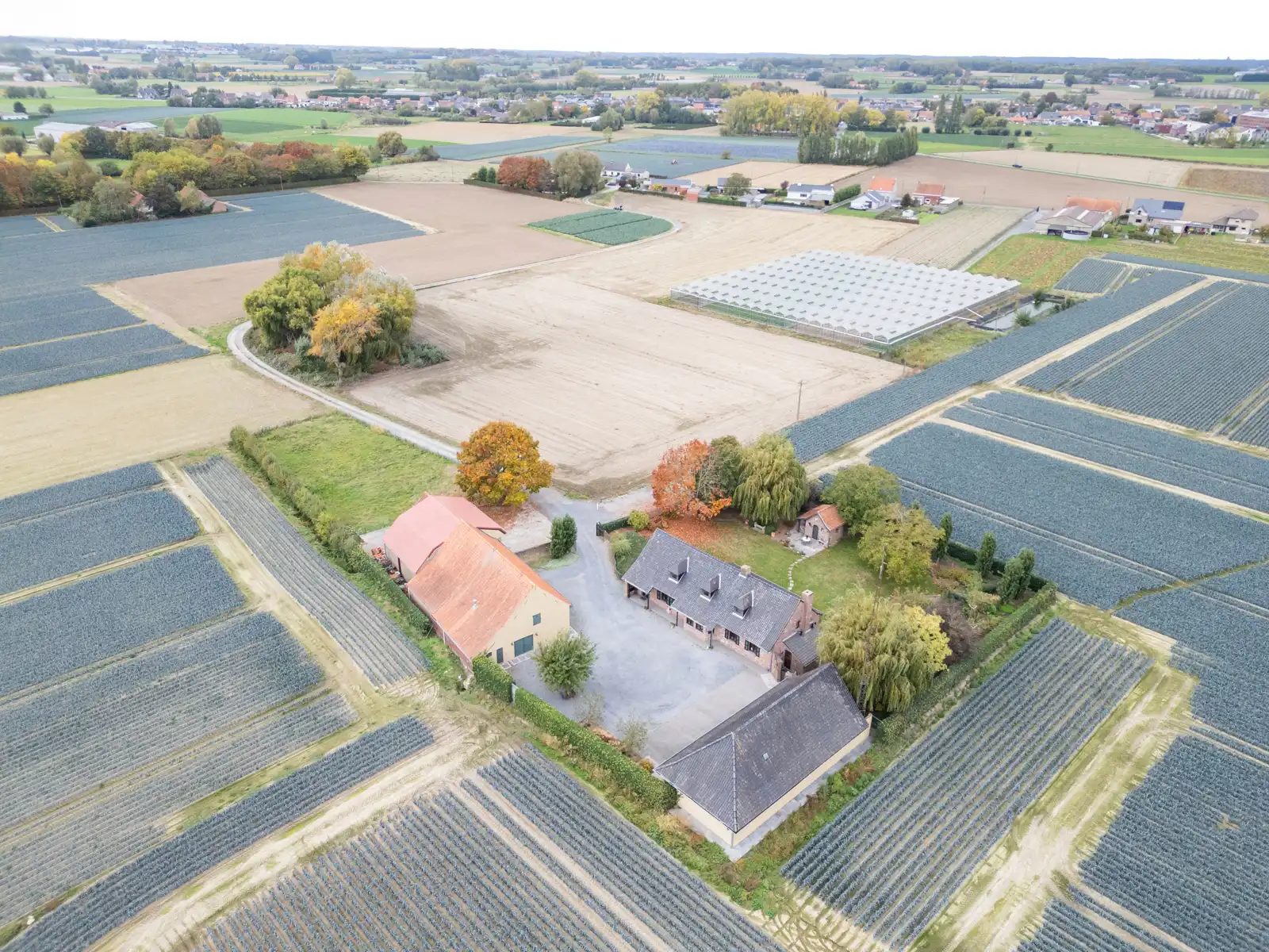 Landhuis met 2 magazijnen, rustig gelegen op 5.388 m² foto 36
