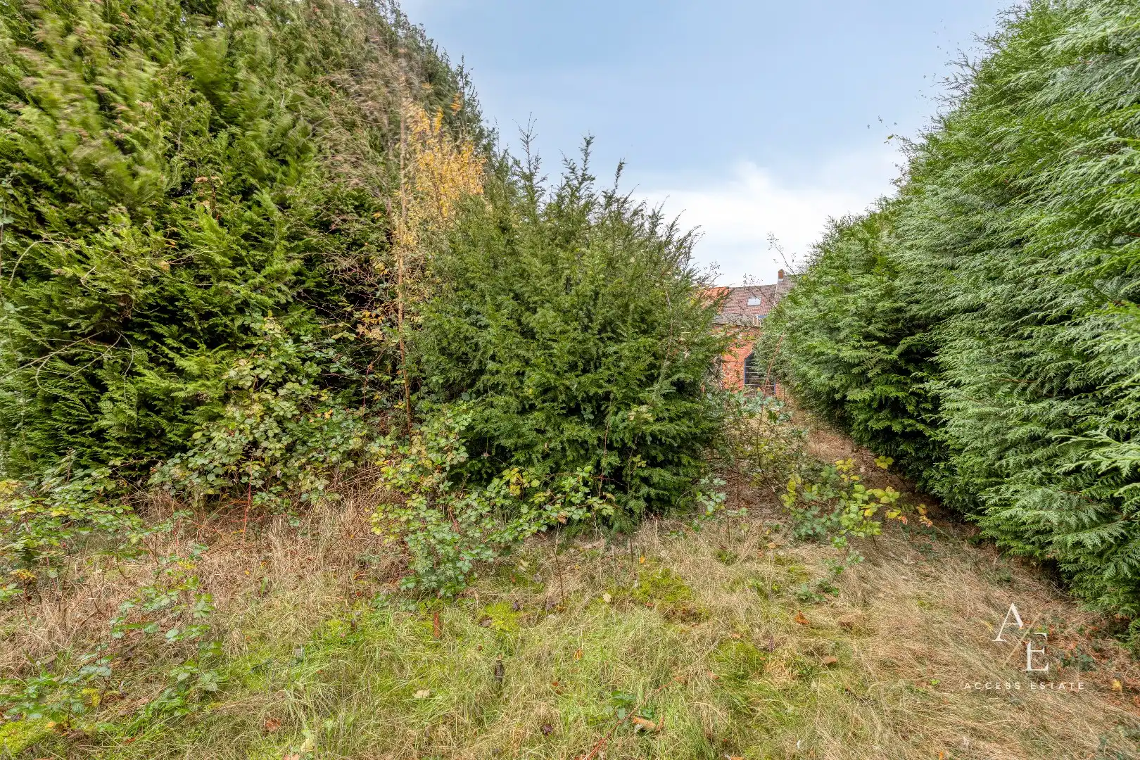 EEKLO - Te renoveren handelshuis met grote bruikbare oppervlakte en tuin foto 12